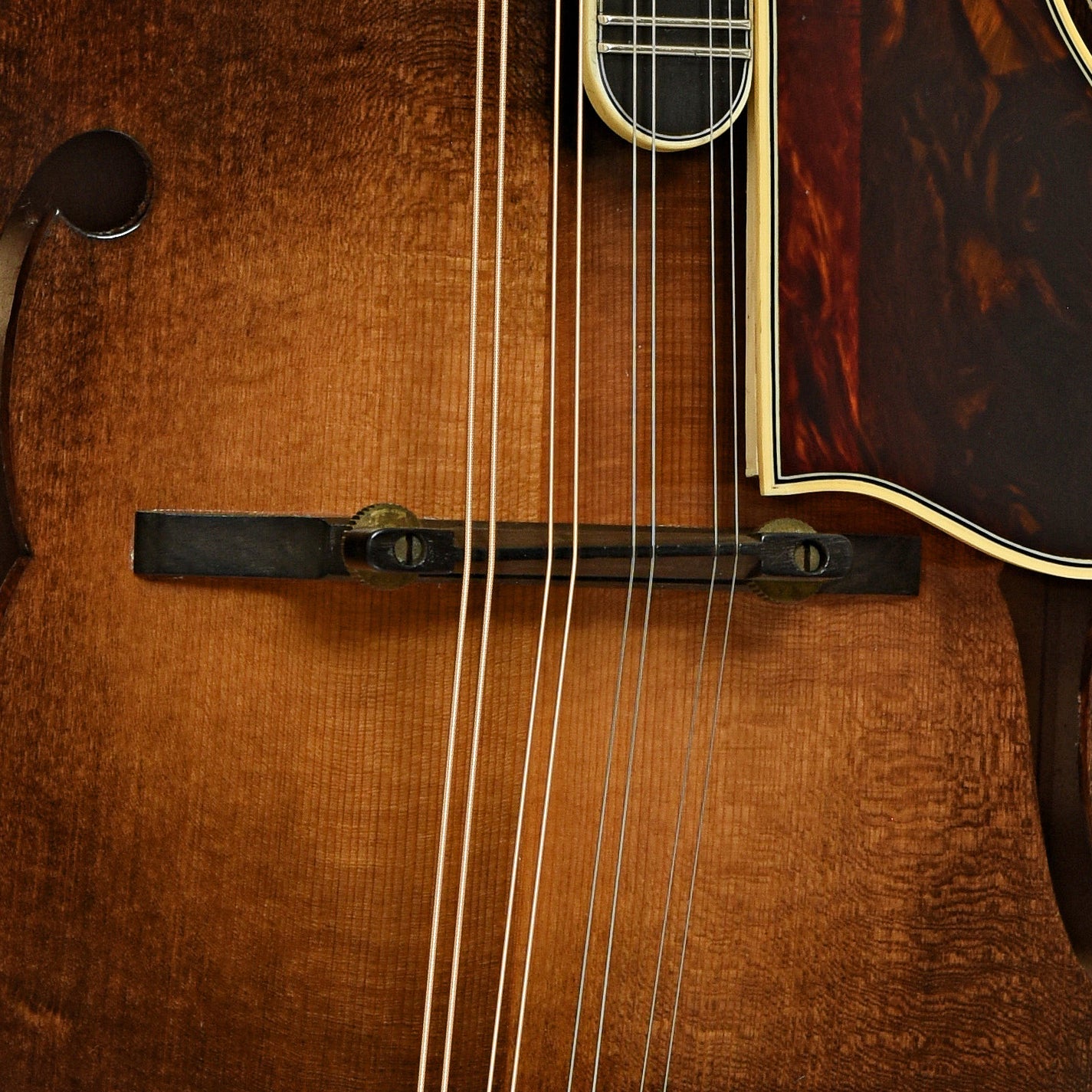 Newson F-5 Fern Mandolin (1982)