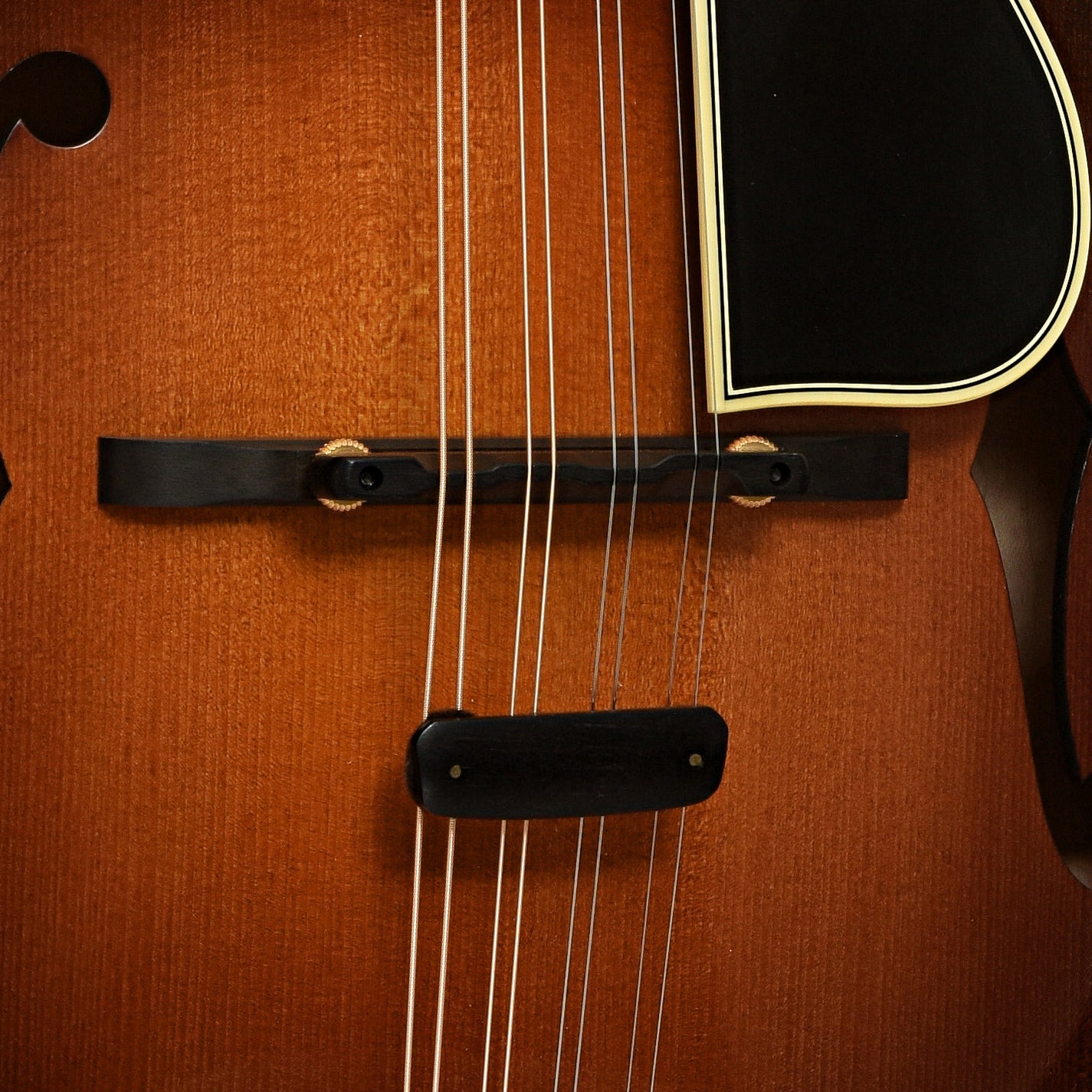 Ellis F-5 Special Mandolin (2018)