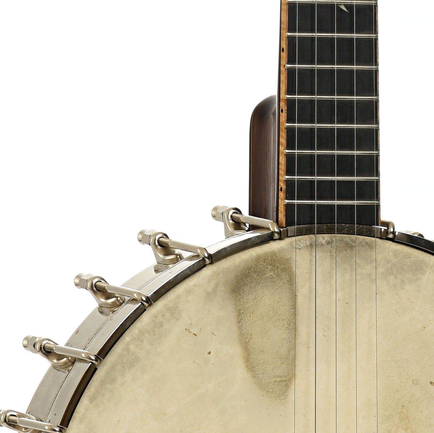Wildwood Brazilian Custom Dragon Open Back Banjo (2004)