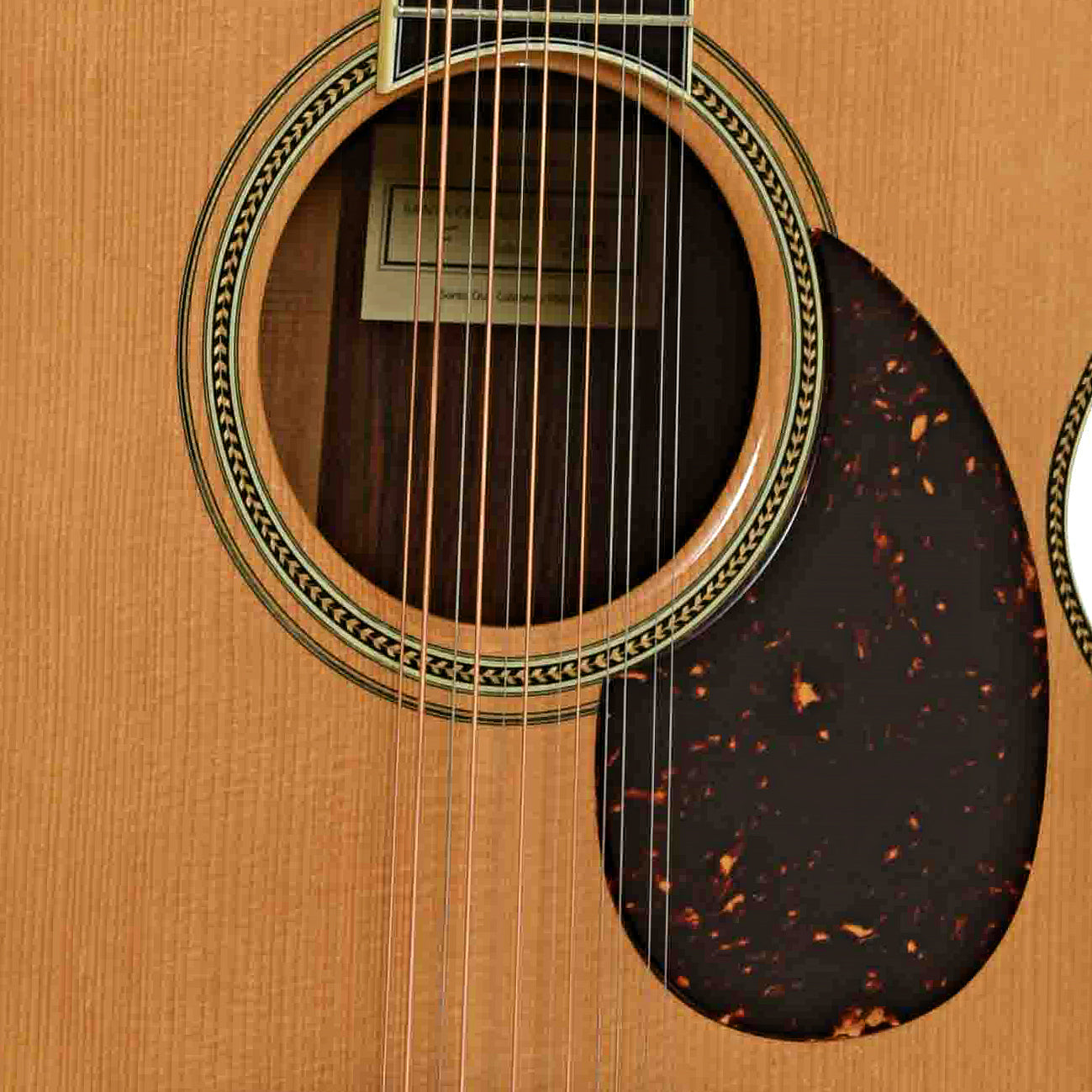 Santa Cruz Brazilian F Custom 12-String Acoustic Guitar (1998)