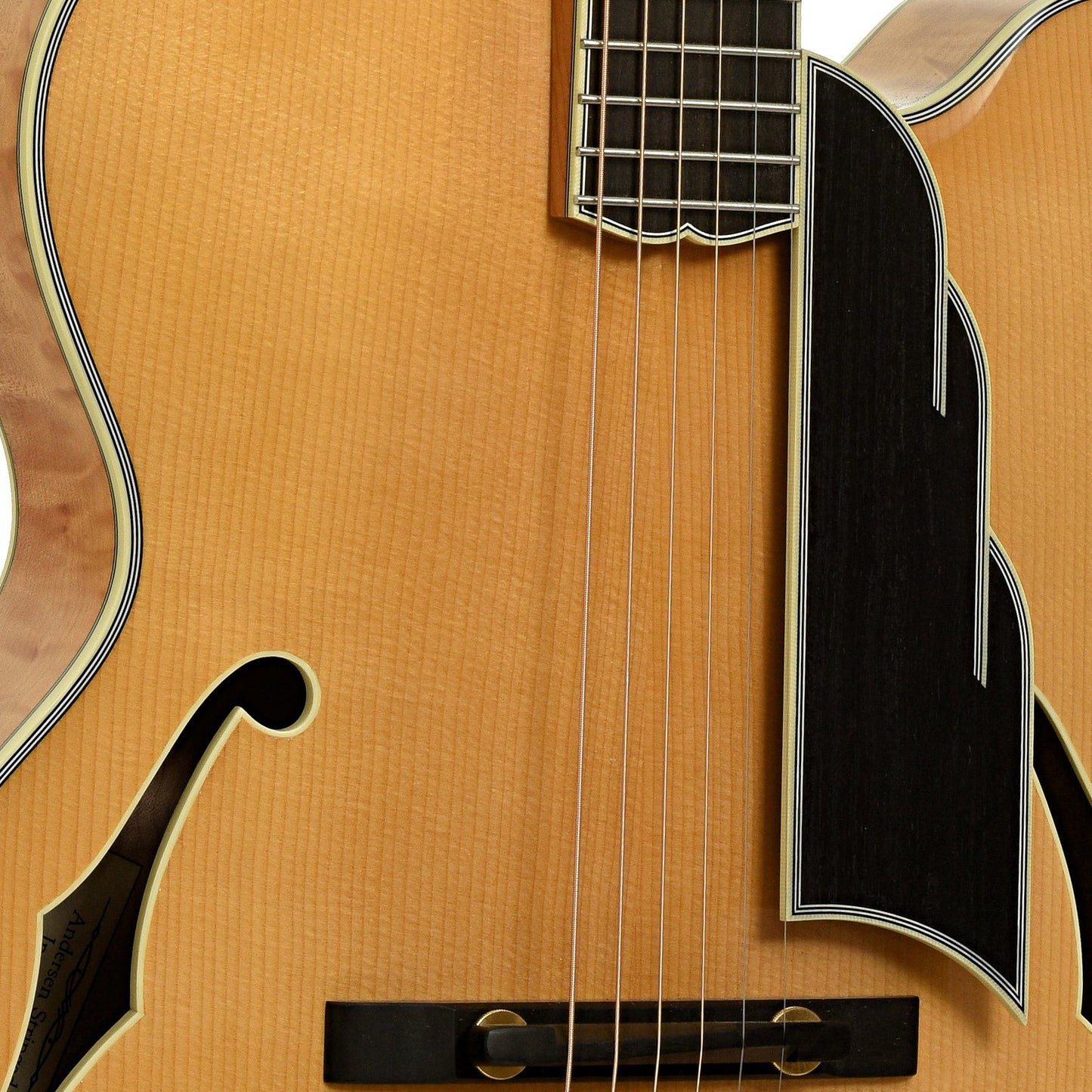 Andersen Emerald City Hollowbody Archtop Acoustic Guitar (1994)