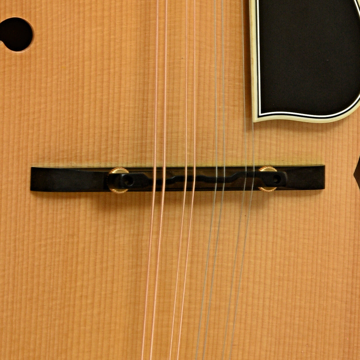 Ellis A-5 Special Mandolin (2014)