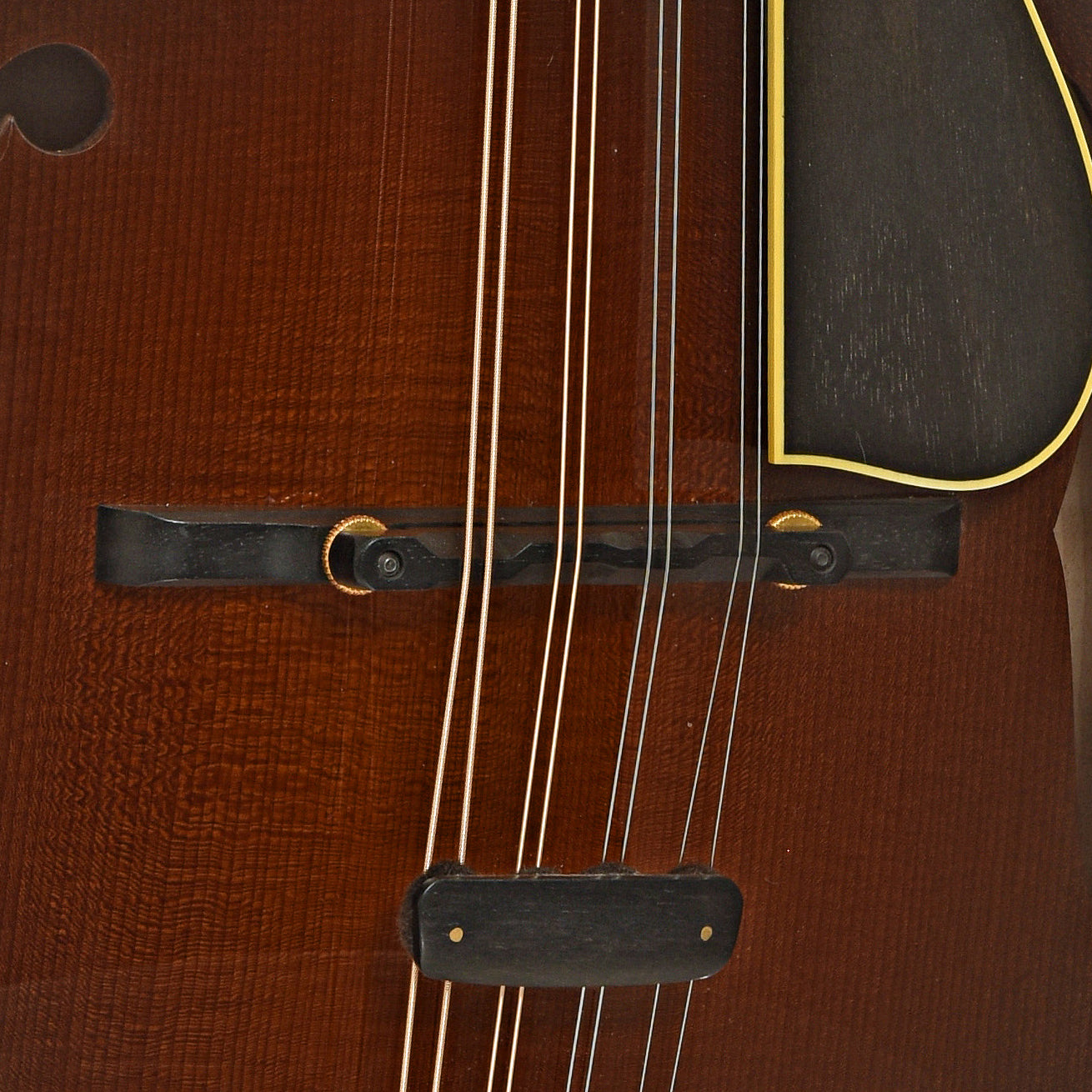 Collings MF-5 Varnish Mandolin (2017)