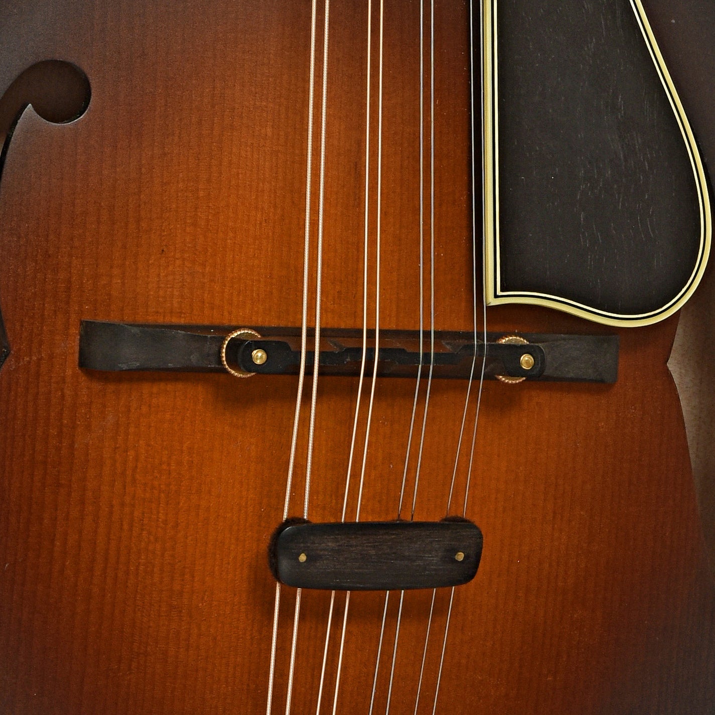 Nugget Deluxe F Mandolin (2003)