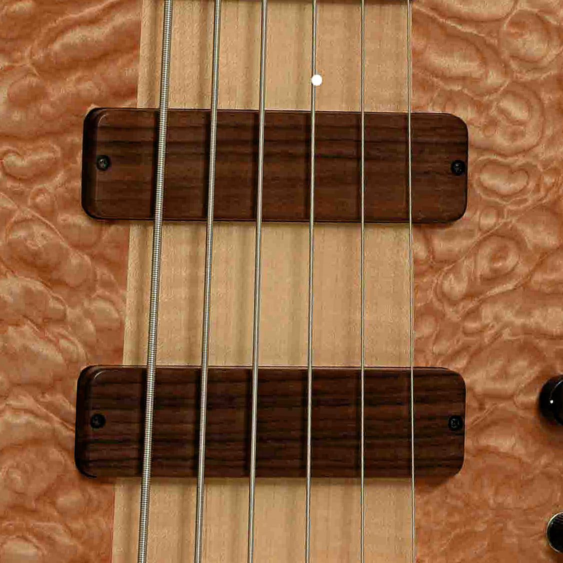 Fodera Monarch Elite 6-String Electric Bass (2000s)
