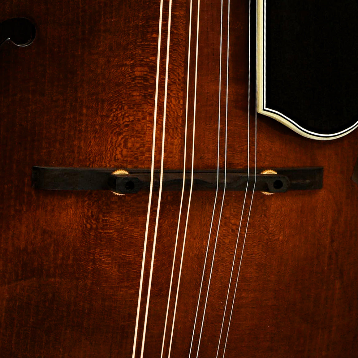 Clark F-5 Mandolin (2018)