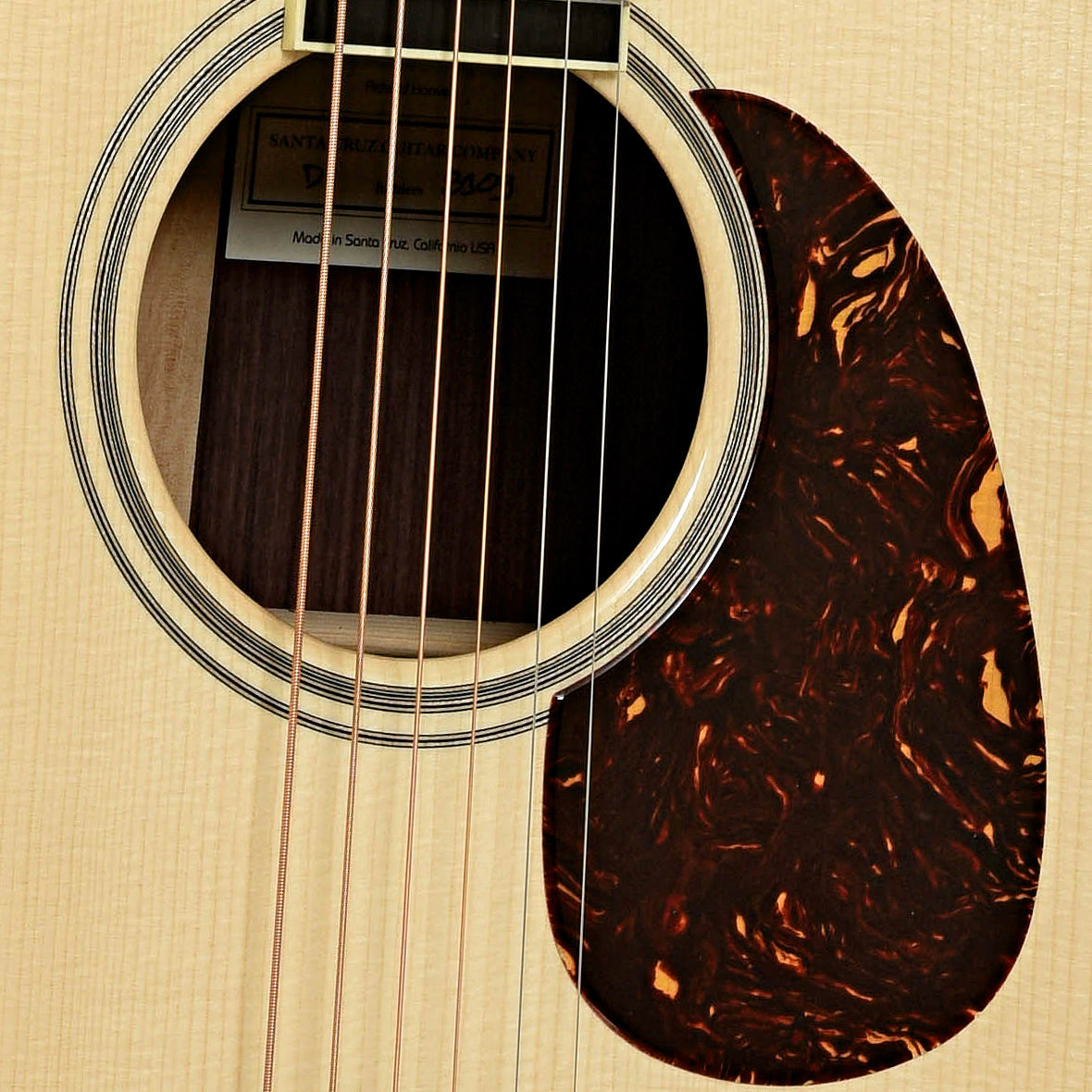 Santa Cruz Custom D Dreadnought Acoustic Guitar