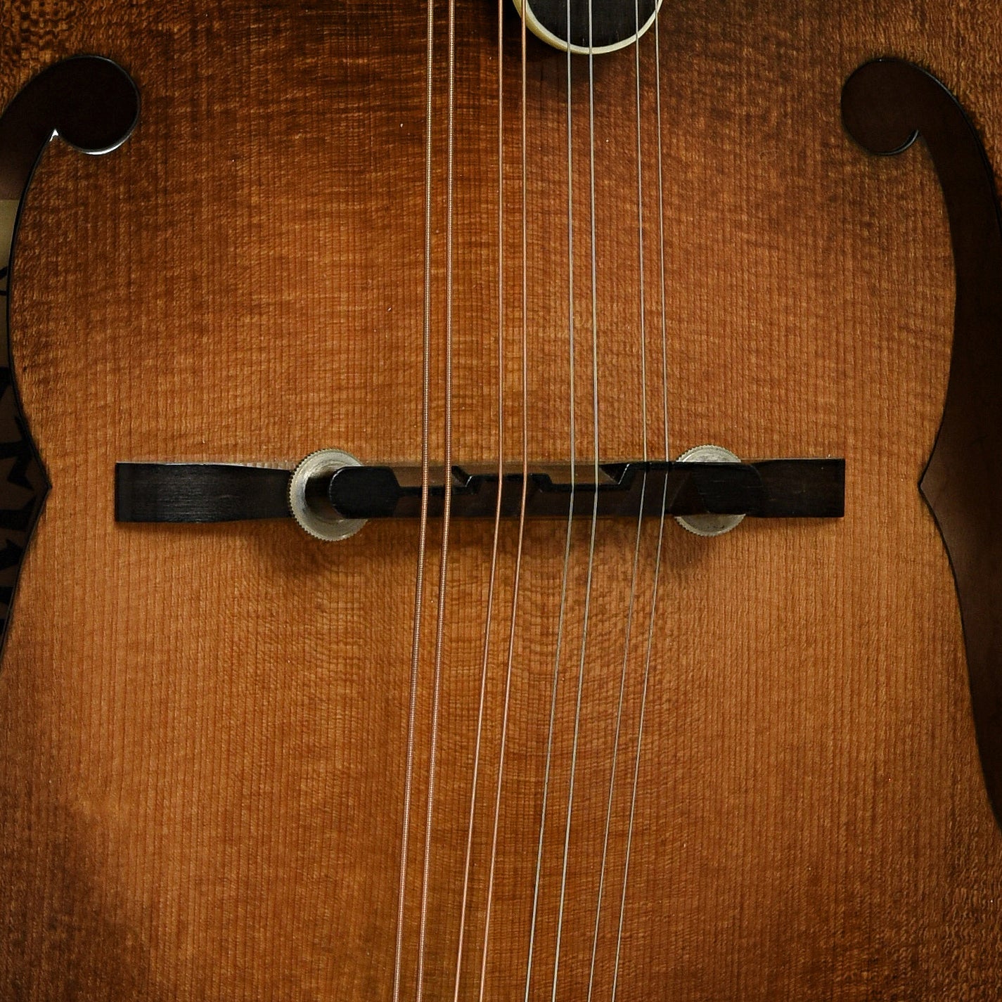 Stiver Model F Mandolin (1989)