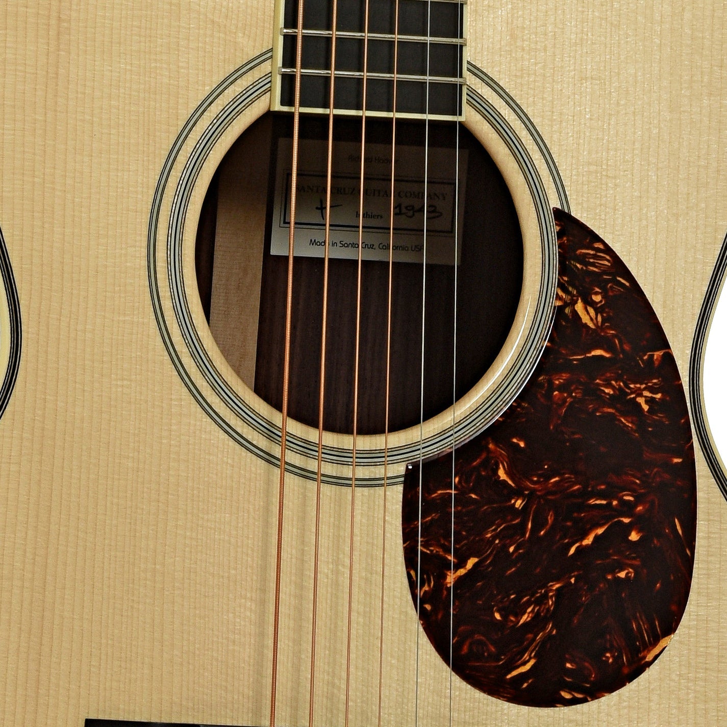 Santa Cruz Custom H Model Acoustic Guitar
