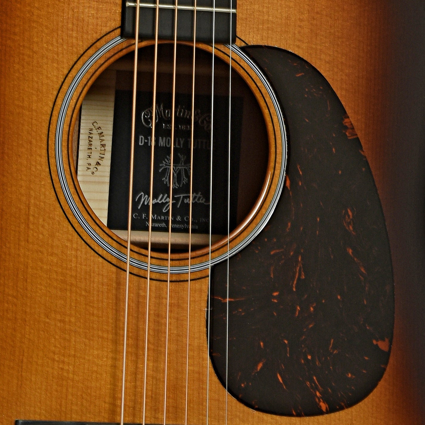 Martin D-18 Molly Tuttle Guitar & Case