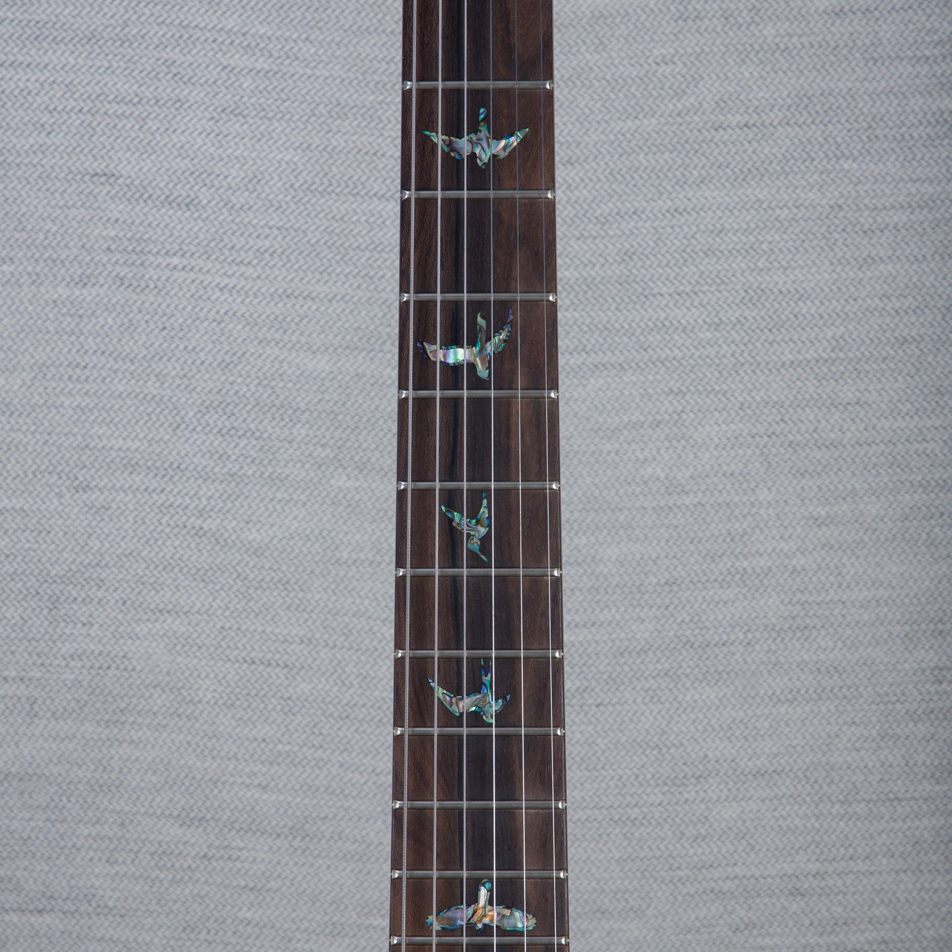 PRS Wood Library DGT Electric Guitar - Private Stock Bahamian Blue Finish - CHUCKSCLUSIVE - #240385600 - 2024