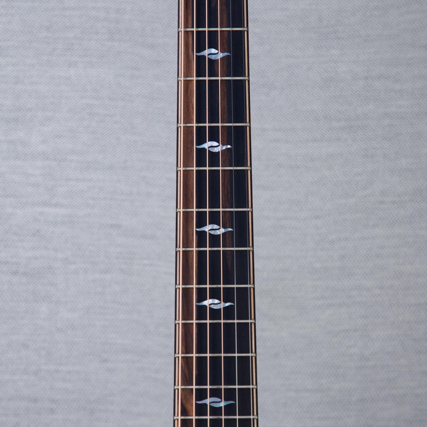 Taylor Limited Edition 814ce Cocobolo/Spruce Acoustic Electric Guitar - #1201196089