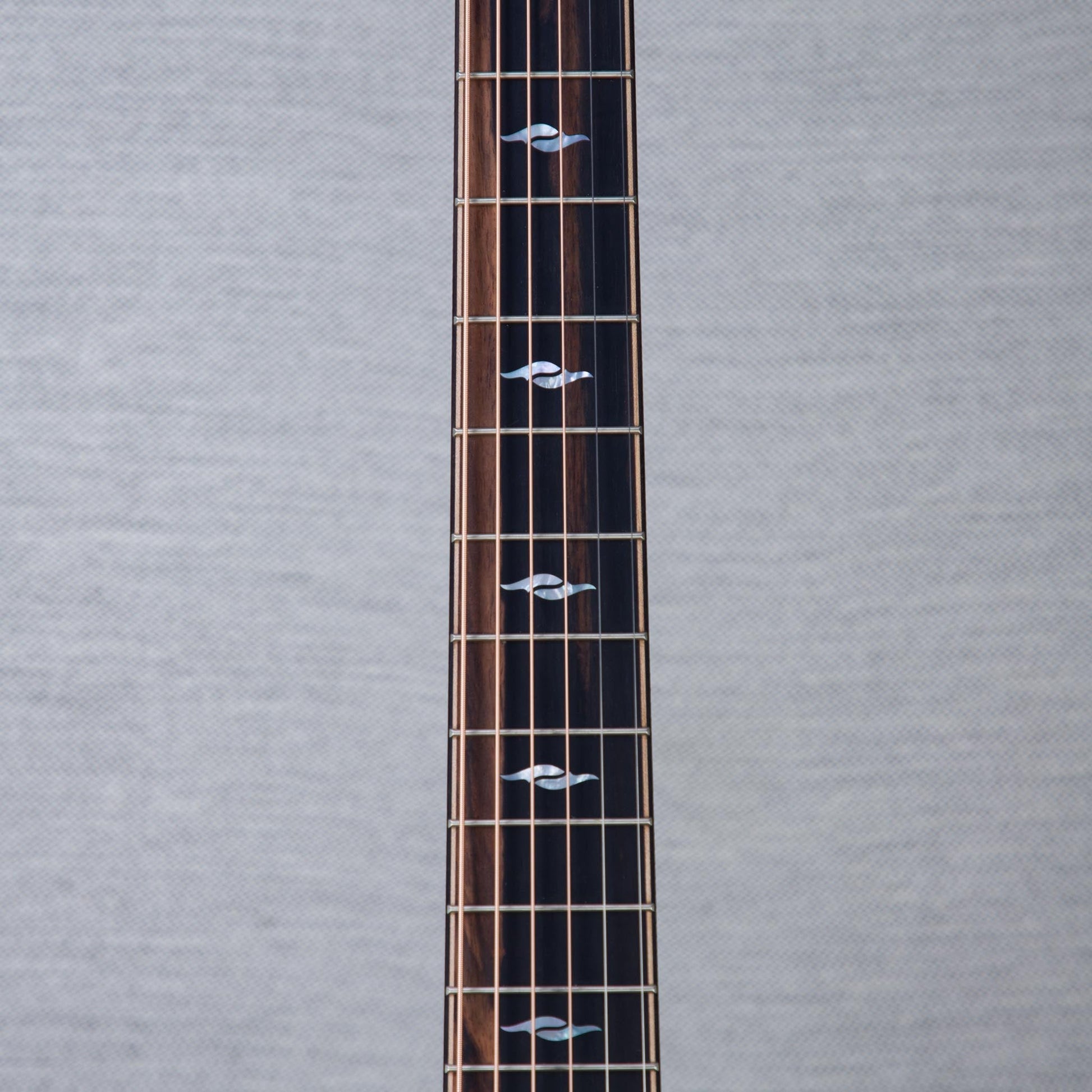 Taylor Limited Edition 814ce Cocobolo/Spruce Acoustic Electric Guitar - #1201196089