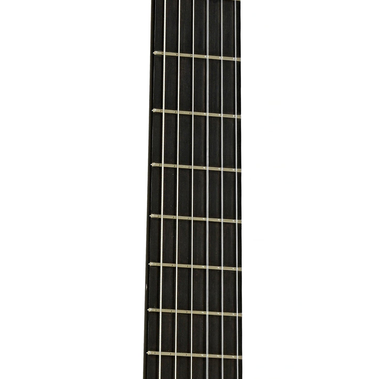 G.V. Rubio Hauser Model Classical Guitar (2002)