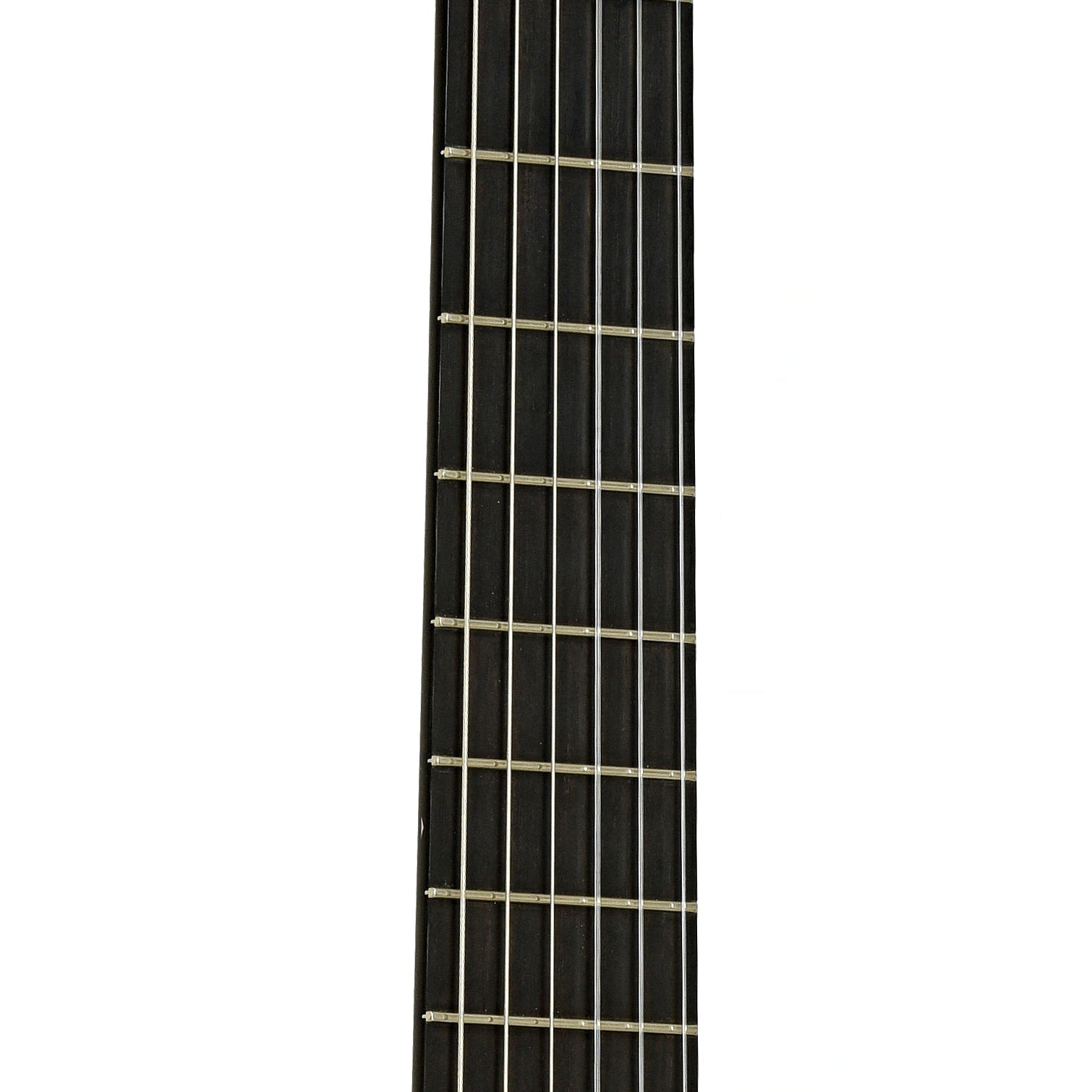 G.V. Rubio Hauser Model Classical Guitar (2002)