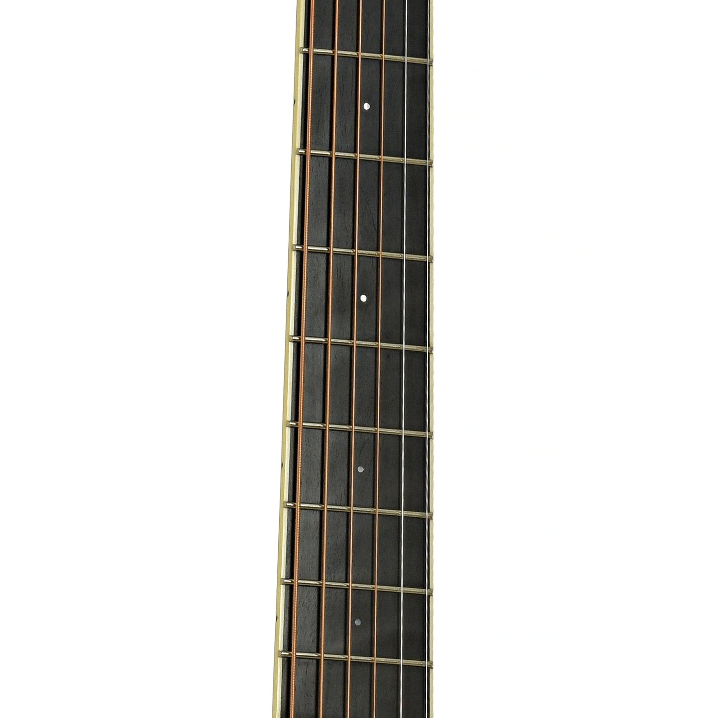 Santa Cruz Custom H Model Acoustic Guitar