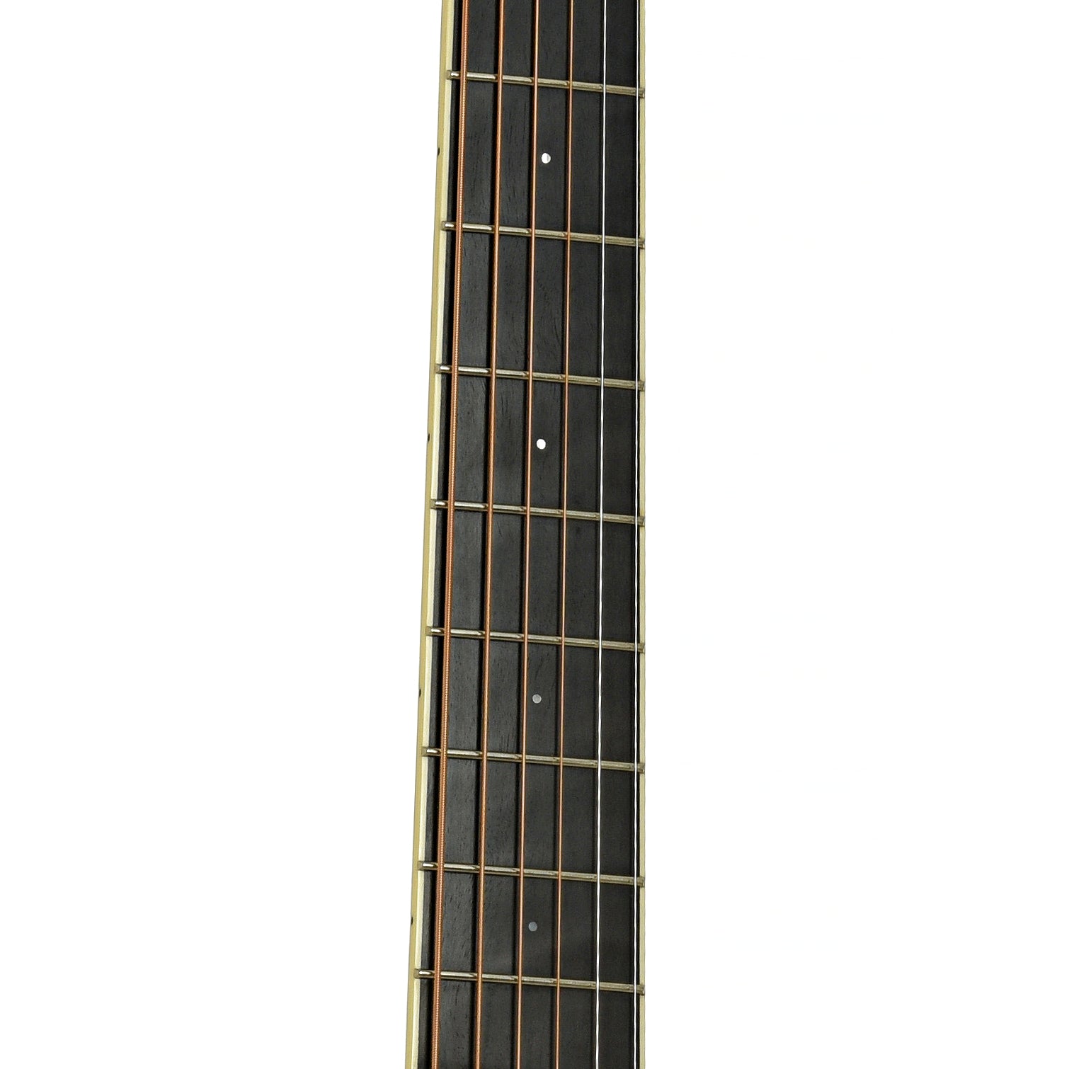 Santa Cruz Custom H Model Acoustic Guitar