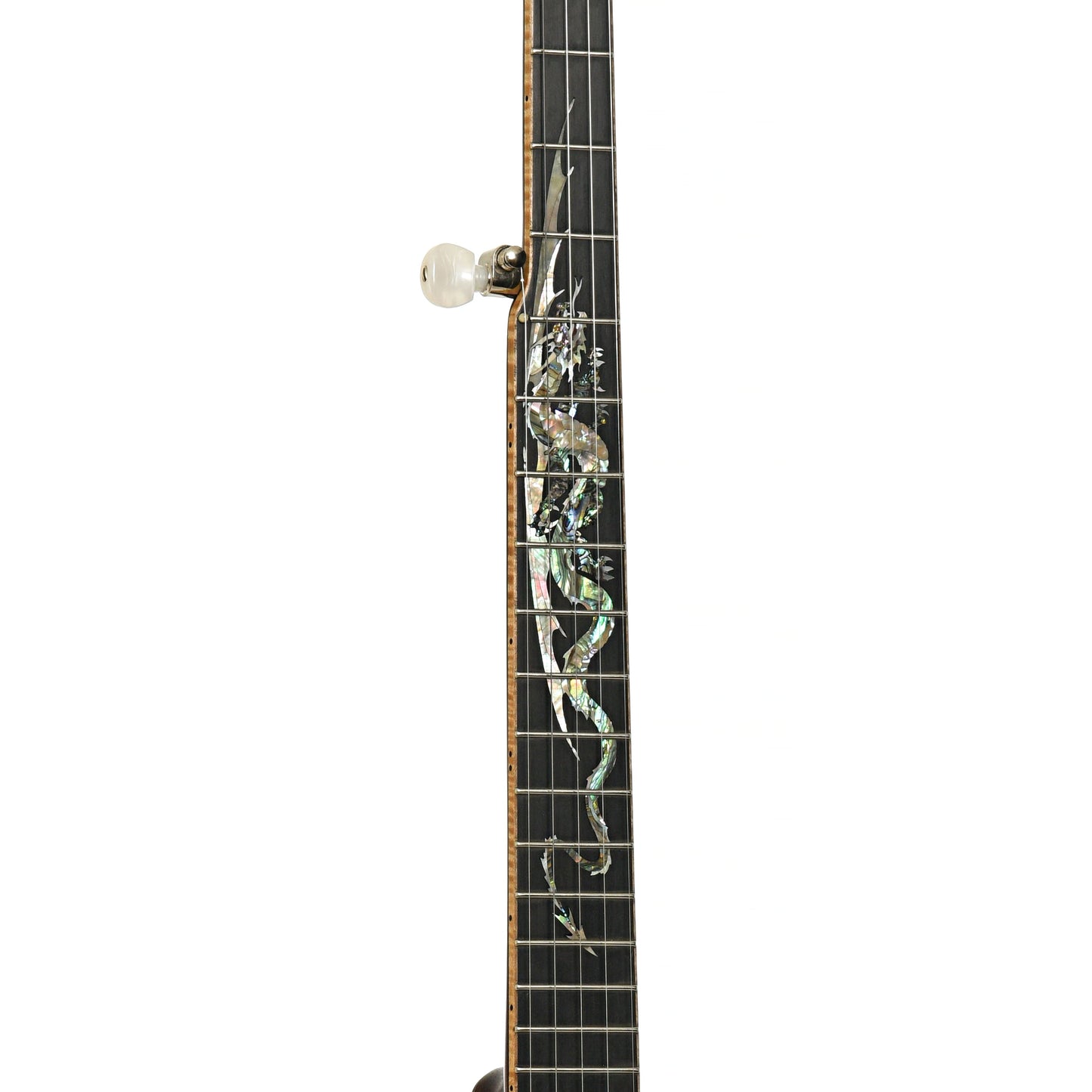 Wildwood Brazilian Custom Dragon Open Back Banjo (2004)