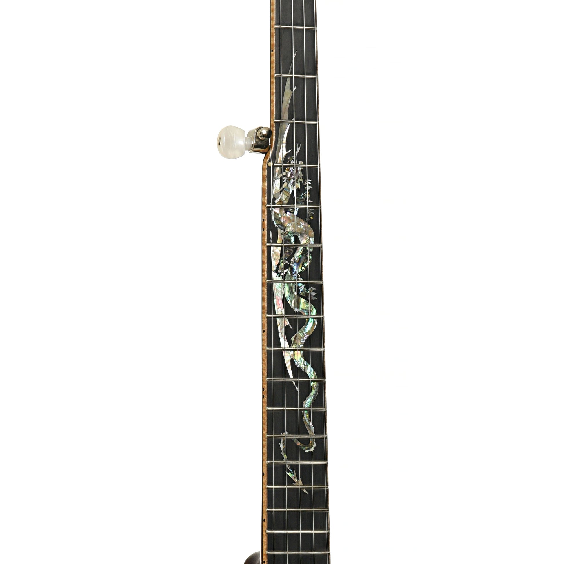Wildwood Brazilian Custom Dragon Open Back Banjo (2004)