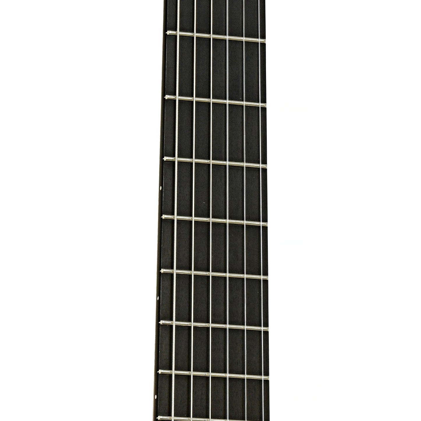 Michael Thames "La Leona" Classical Guitar (2024)