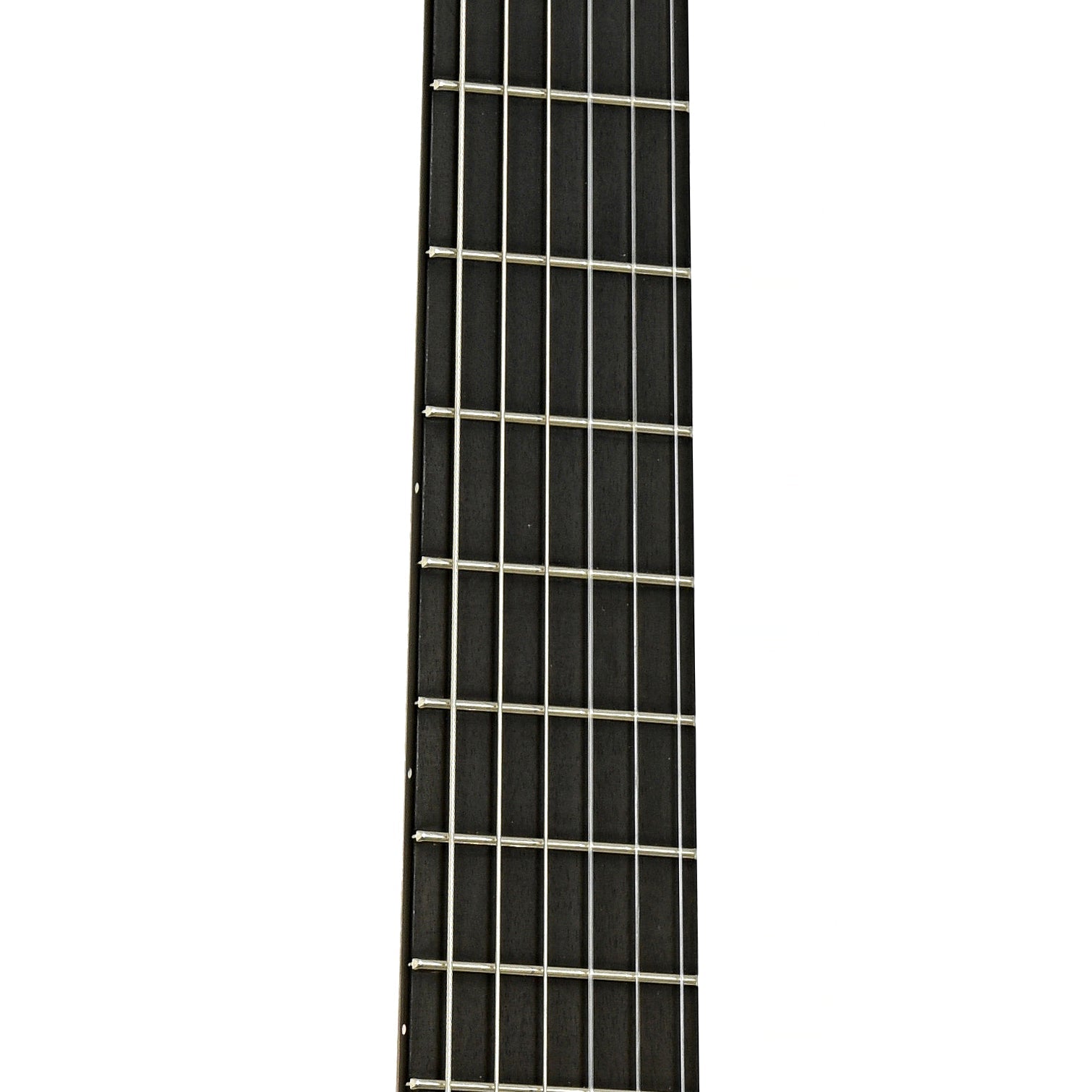 Michael Thames "La Leona" Classical Guitar (2024)
