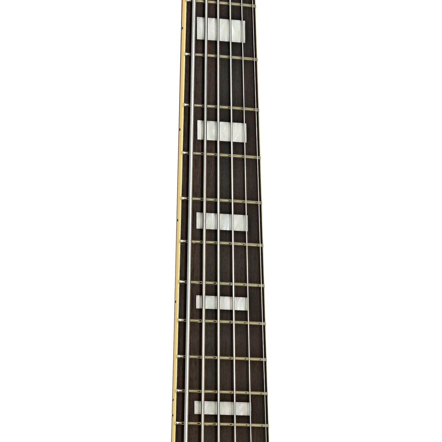 Ibanez TCB1006 Stephen "Thundercat" Bruner 6-String Hollowbody Electric Bass (2022)