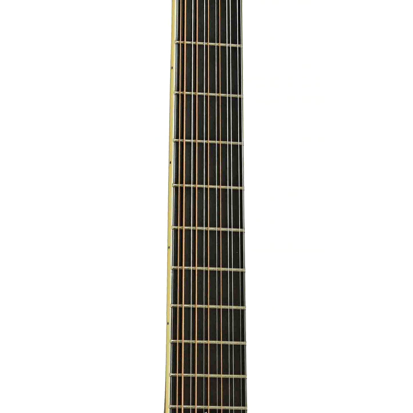 Santa Cruz Brazilian F Custom 12-String Acoustic Guitar (1998)