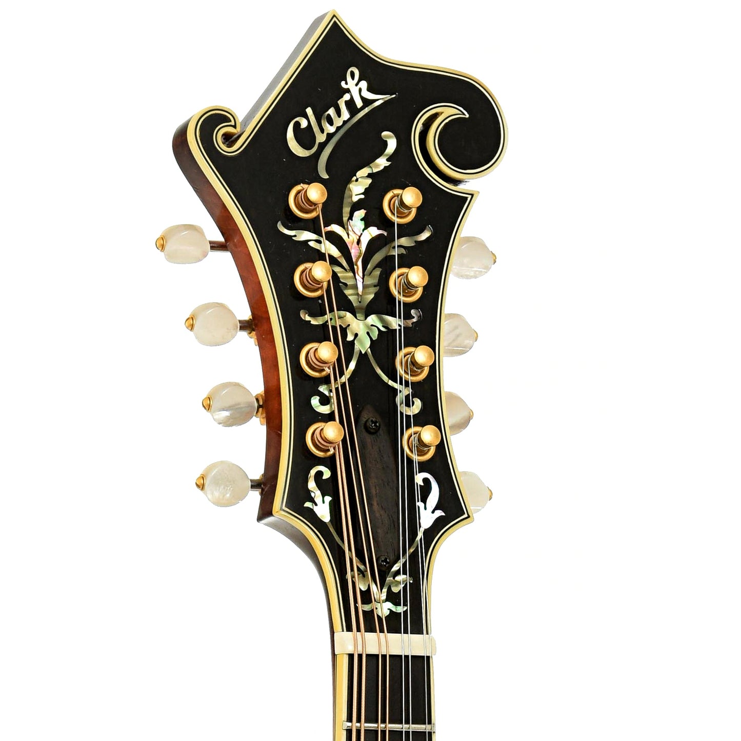 Clark F-5 Mandolin (2018)