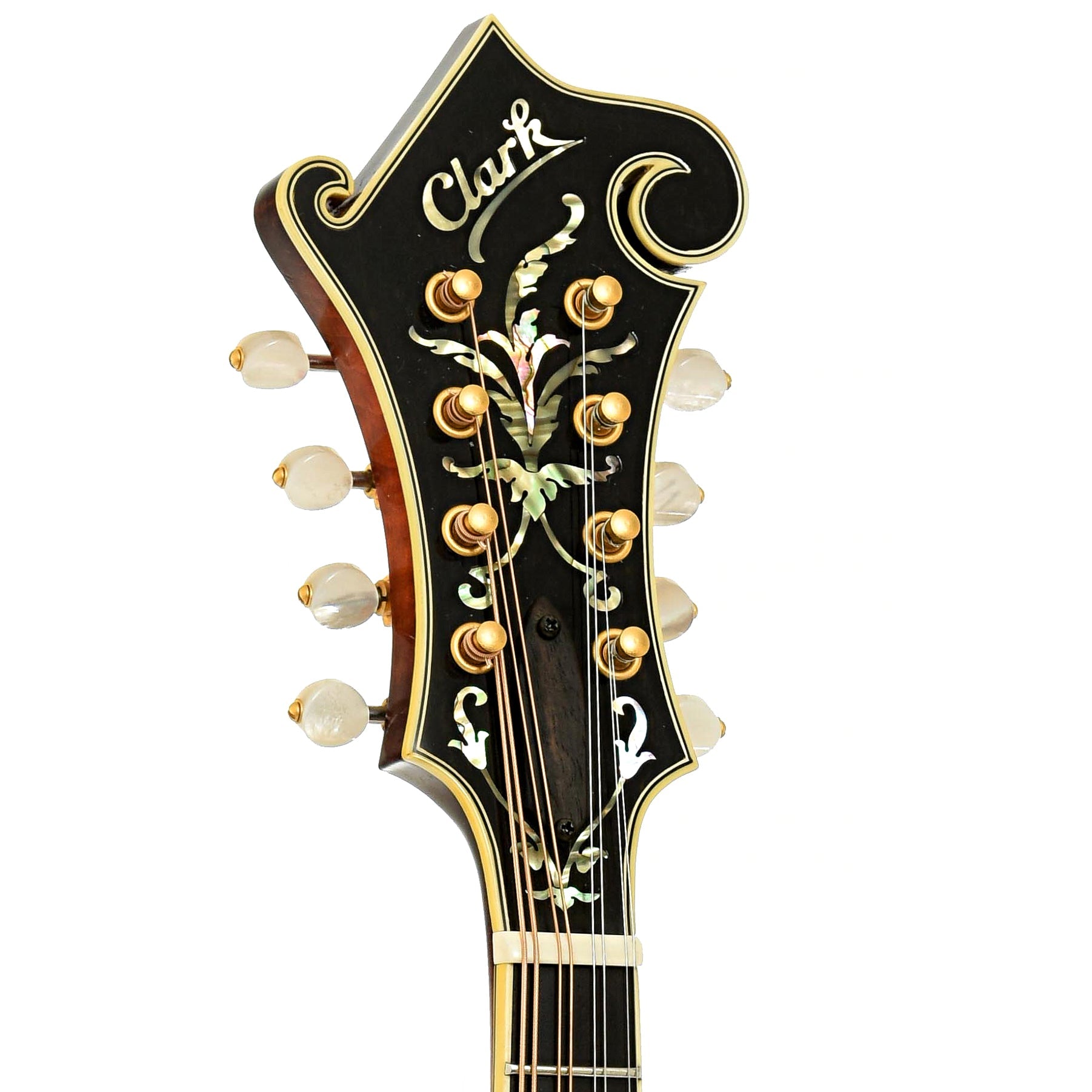 Clark F-5 Mandolin (2018)