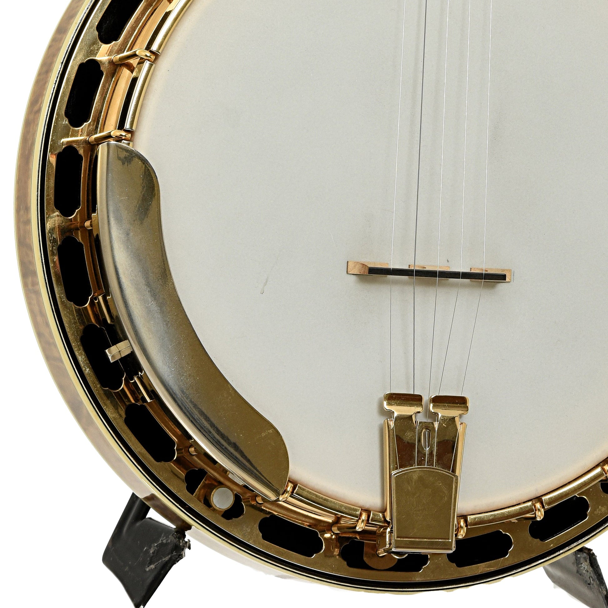 Grundy Flintriver "Blue Heeler" Custom Resonator Banjo (2010)
