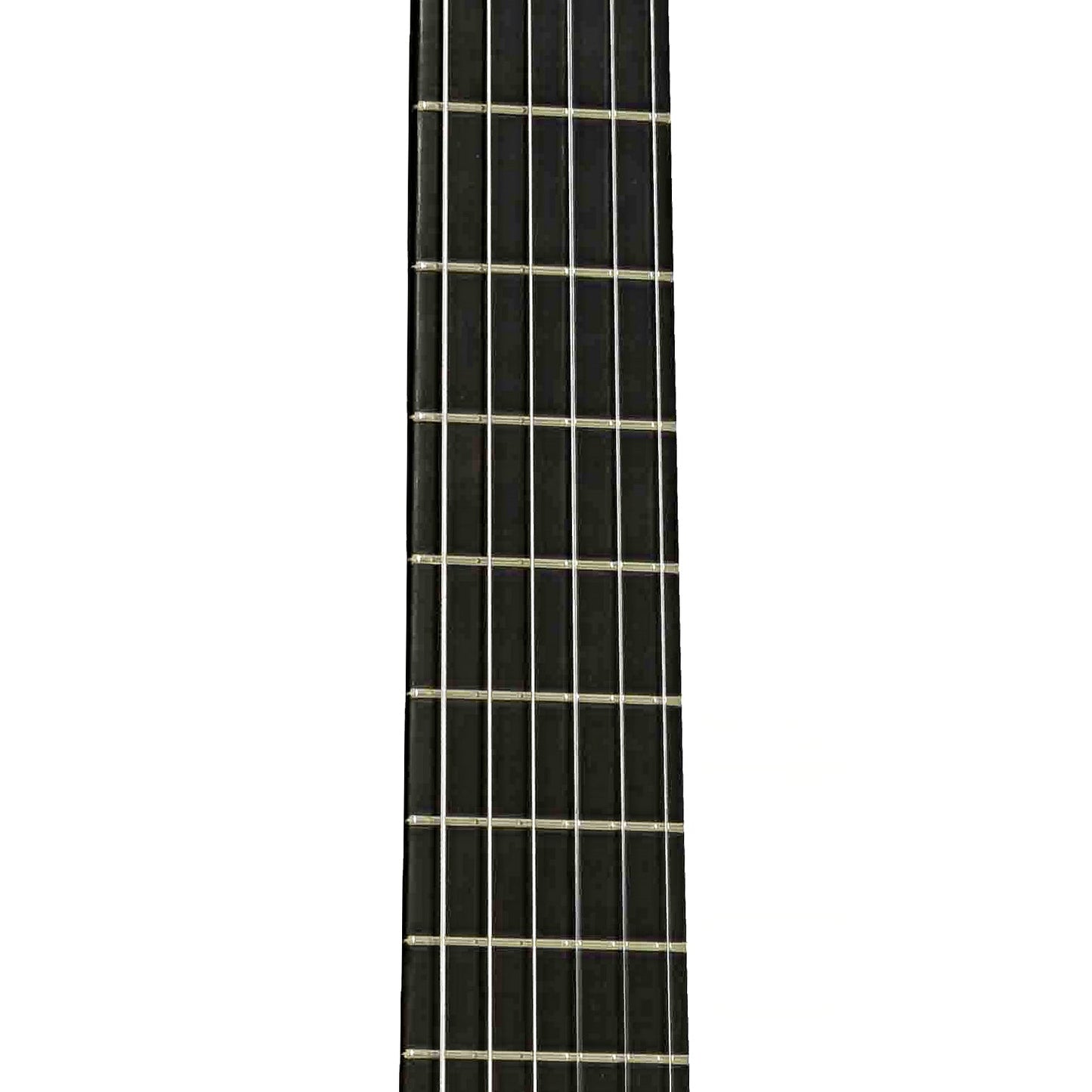 Hippner Guitars Hauser Classical Guitar (2010)