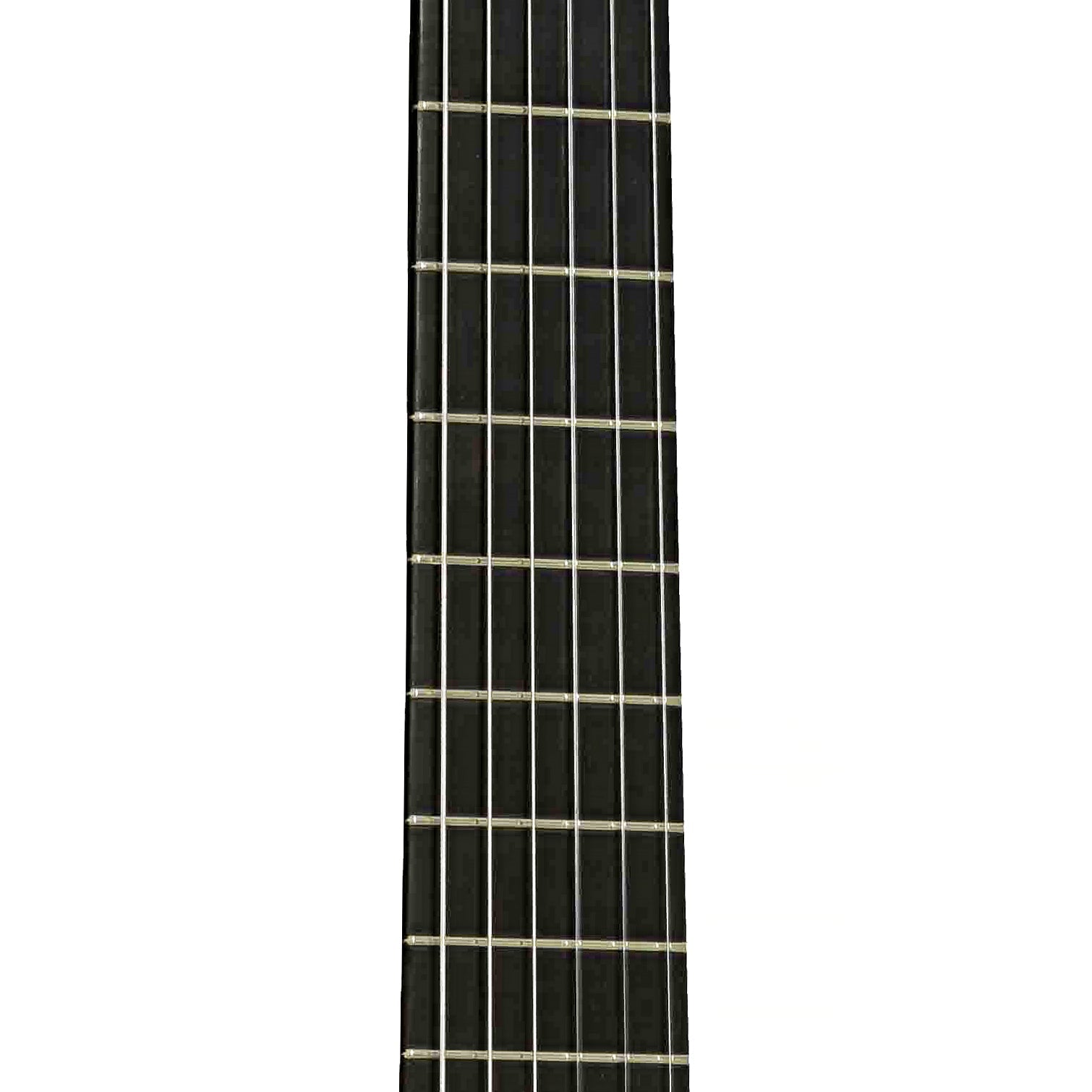 Hippner Guitars Hauser Classical Guitar (2010)