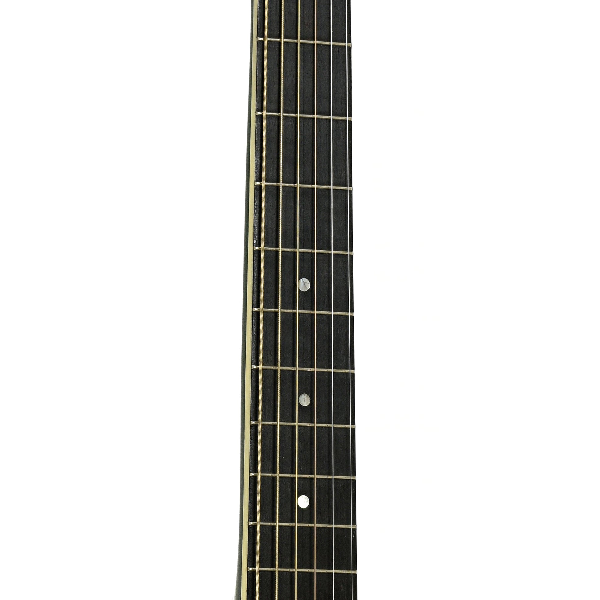 National Tricone Exploding Palm Tree Resonator Guitar (1937)