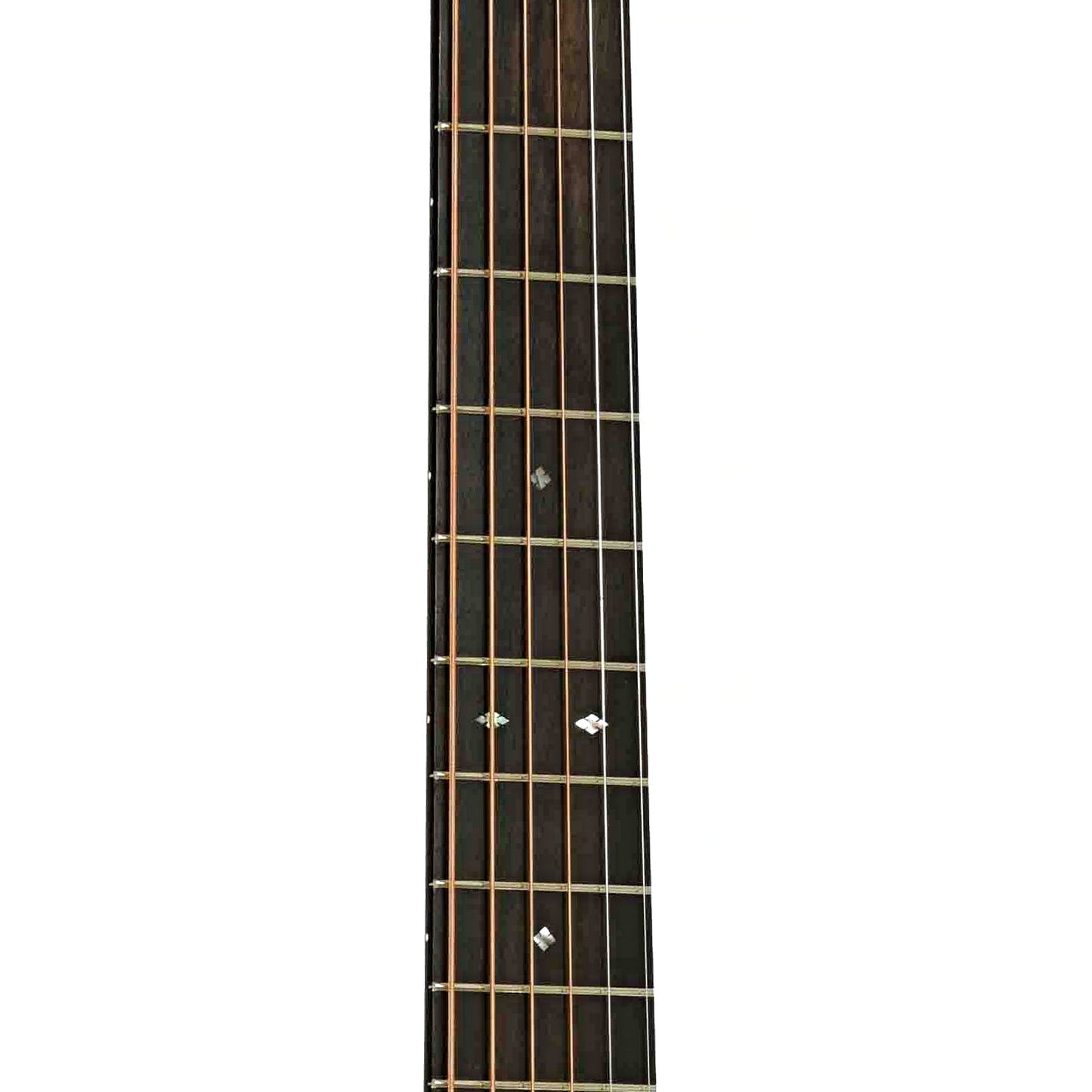 Collings DS2H 12-Fret Acoustic Guitar & Case