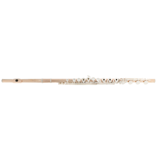 Di Zhao DZ GS-D Professional Flute - 14K Gold-Clad Silver