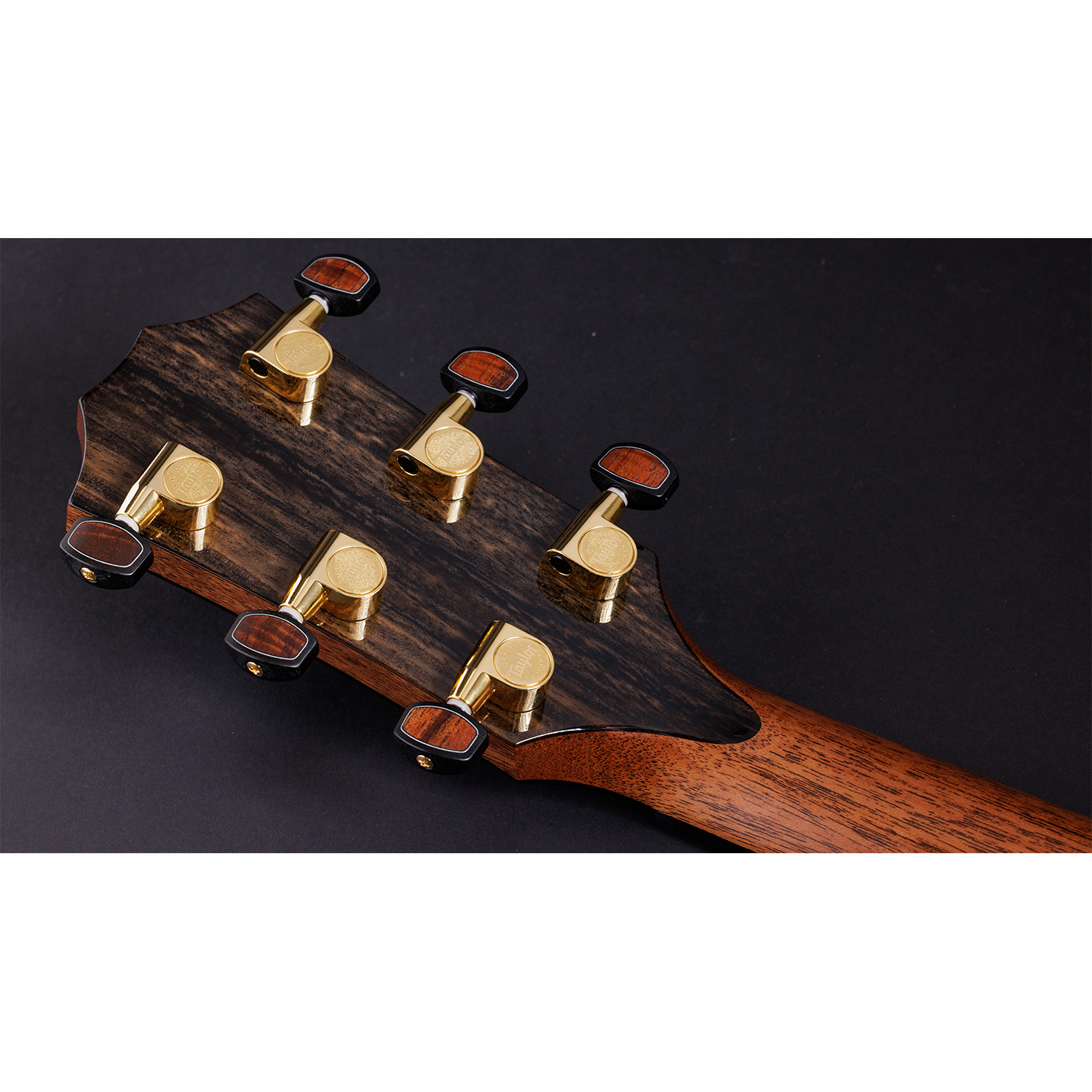 Taylor Custom #30 C16CE Grand Symphony Acoustic Electric Guitar