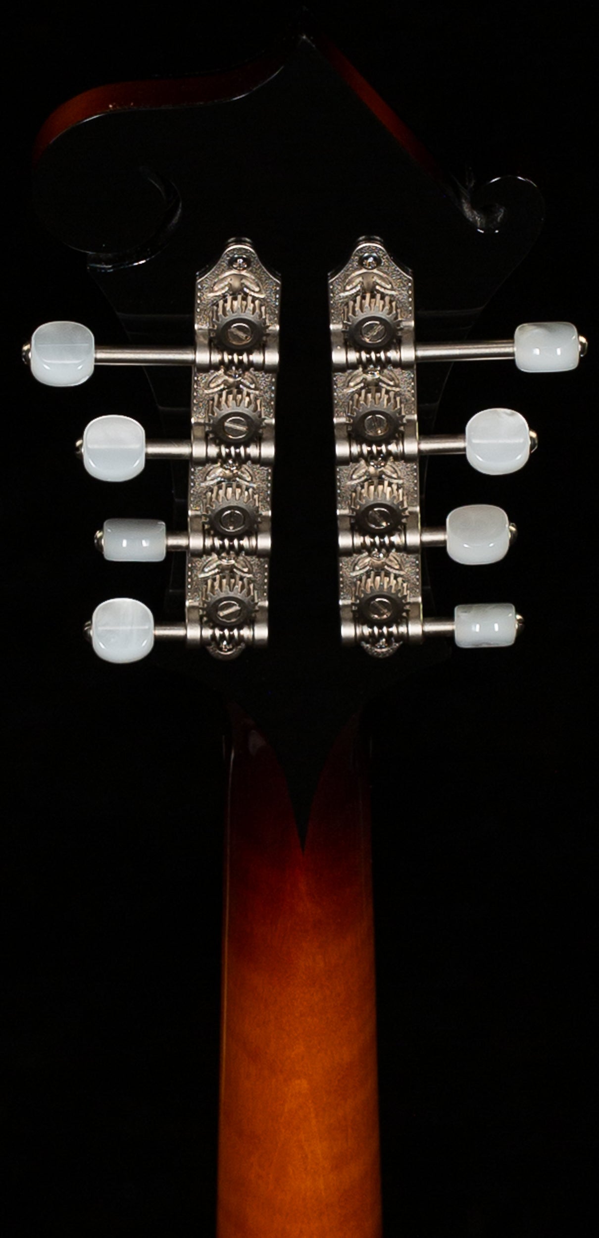 Gibson Mandolin F-5G Dark Burst (022)