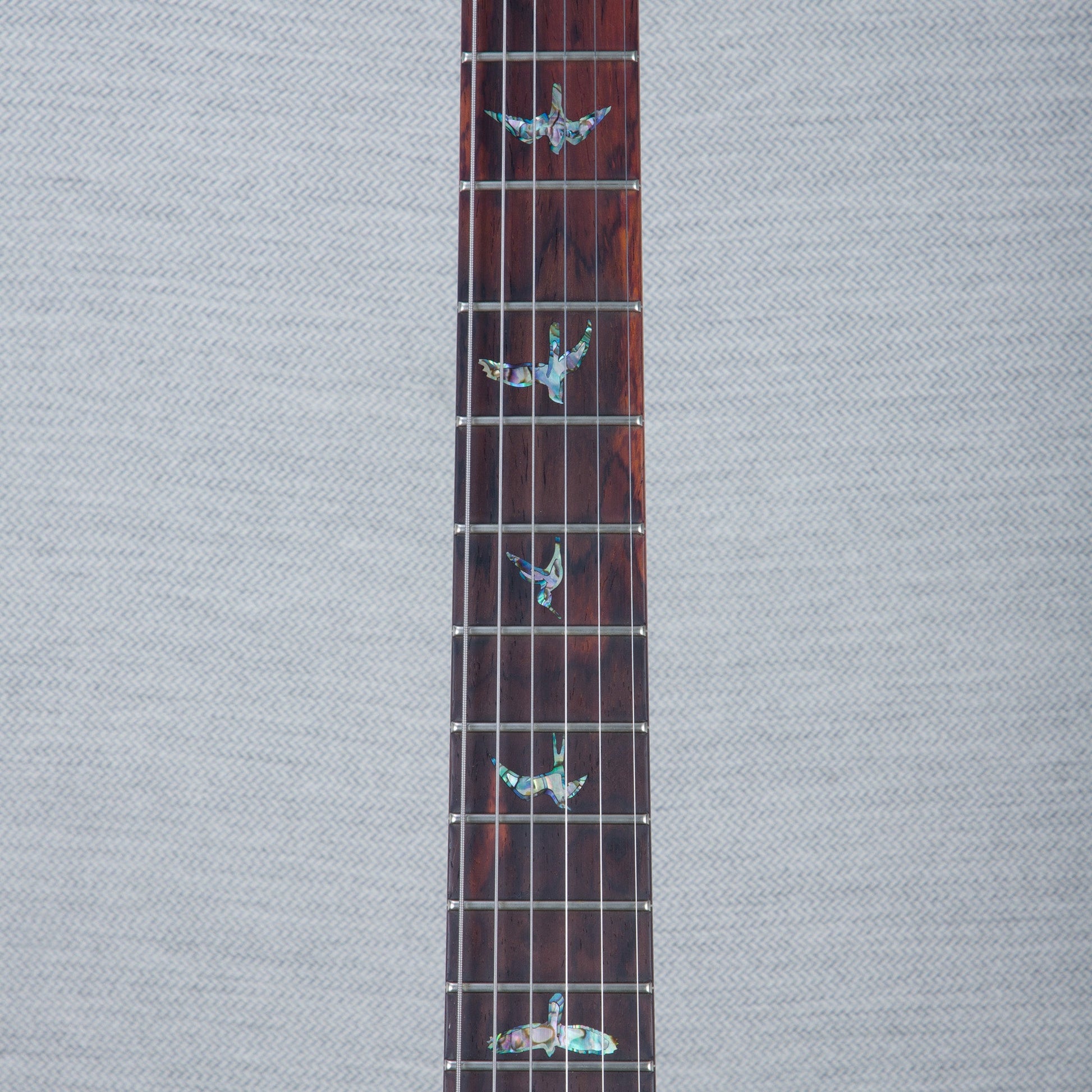 PRS Wood Library DGT Electric Guitar - Private Stock Frostbite Finish - CHUCKSCLUSIVE - #240388861