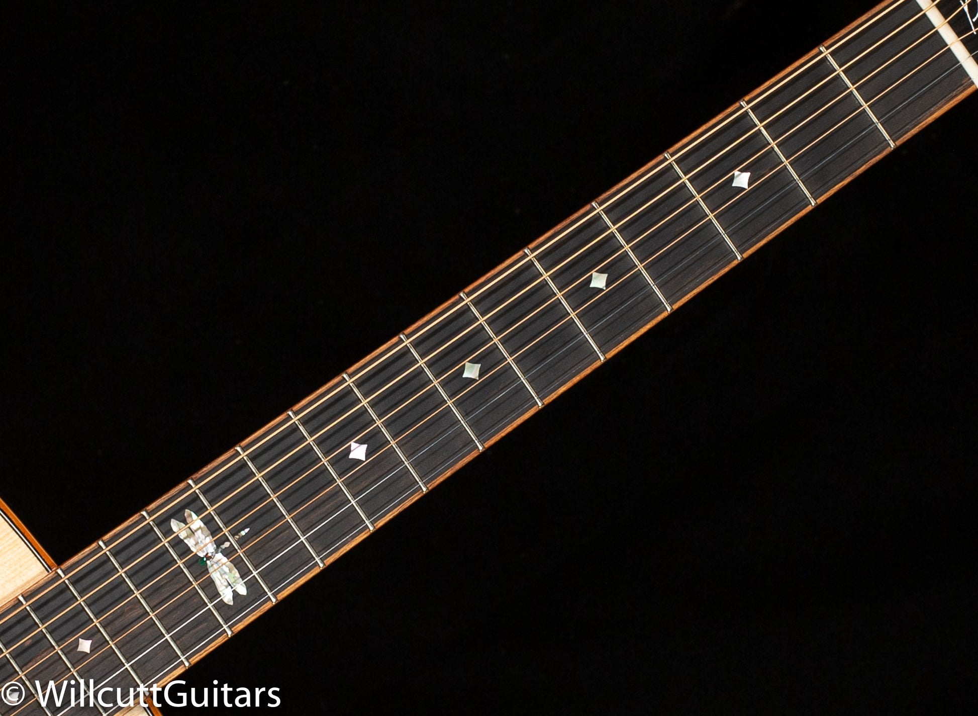 Knaggs Chesapeake Potomac Brazilian Rosewood, Koa Binding Sifel Rosette (56)