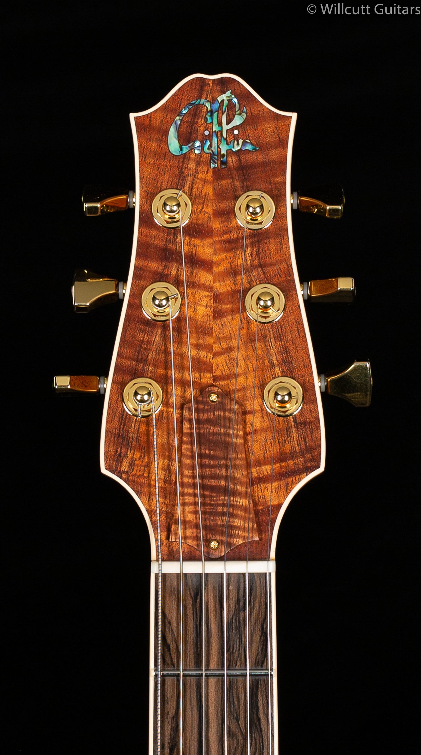 Giffin Standard Hollowbody Koa Top