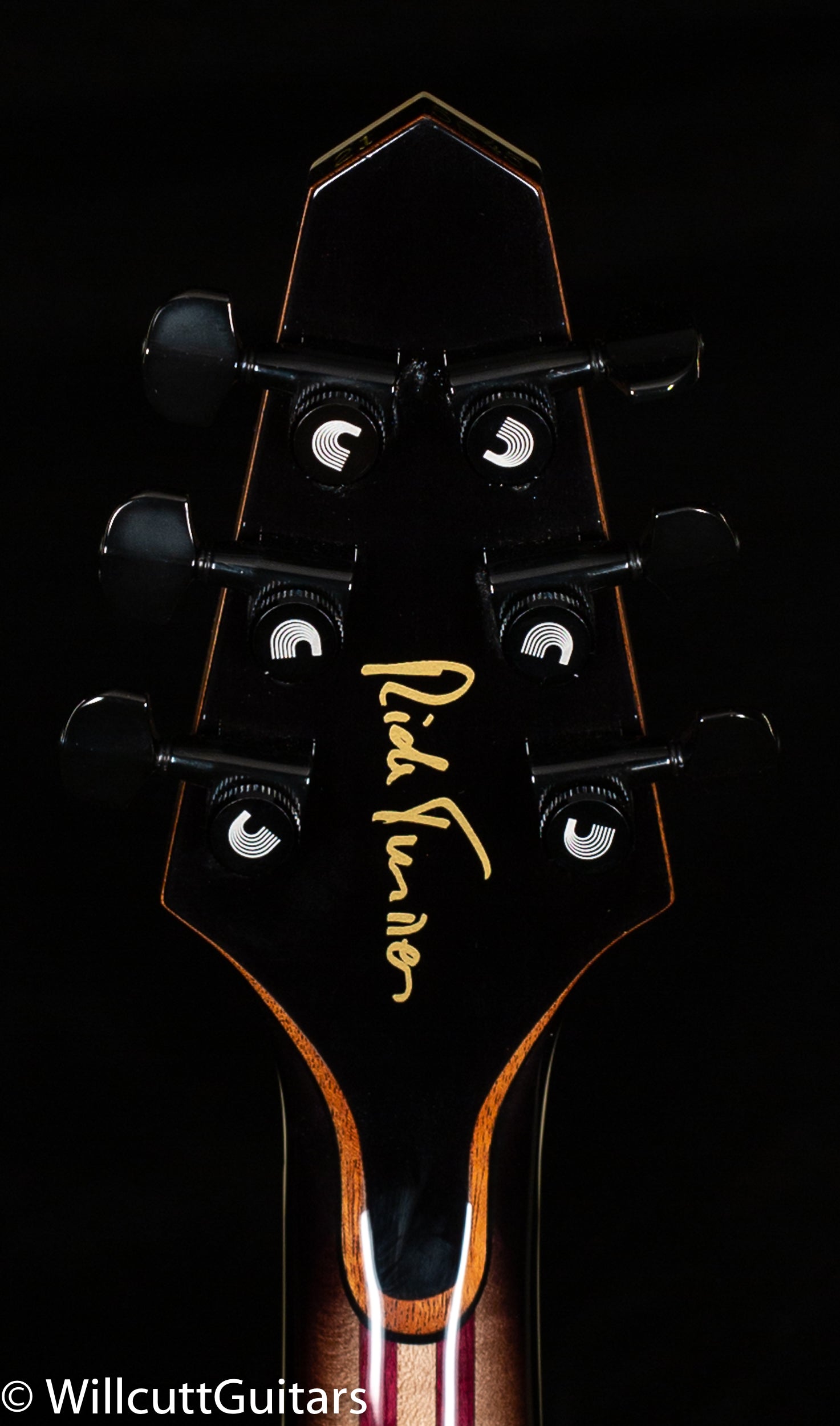 Rick Turner Model 1 Deluxe "Tortoise"