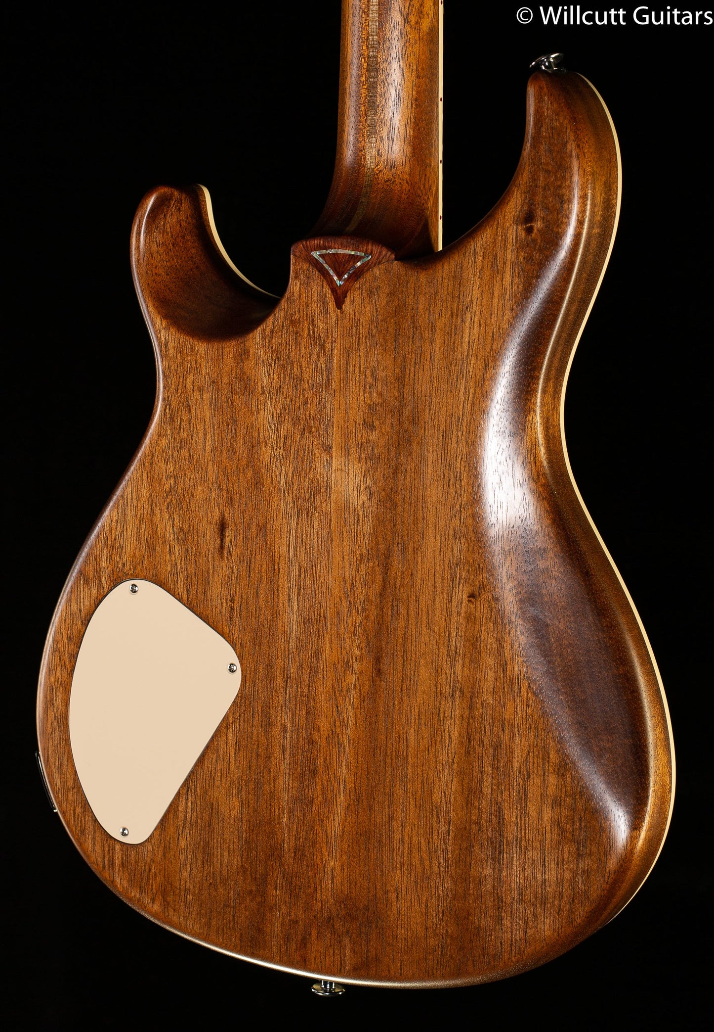 Giffin Standard Hollow Body Bubinga Top