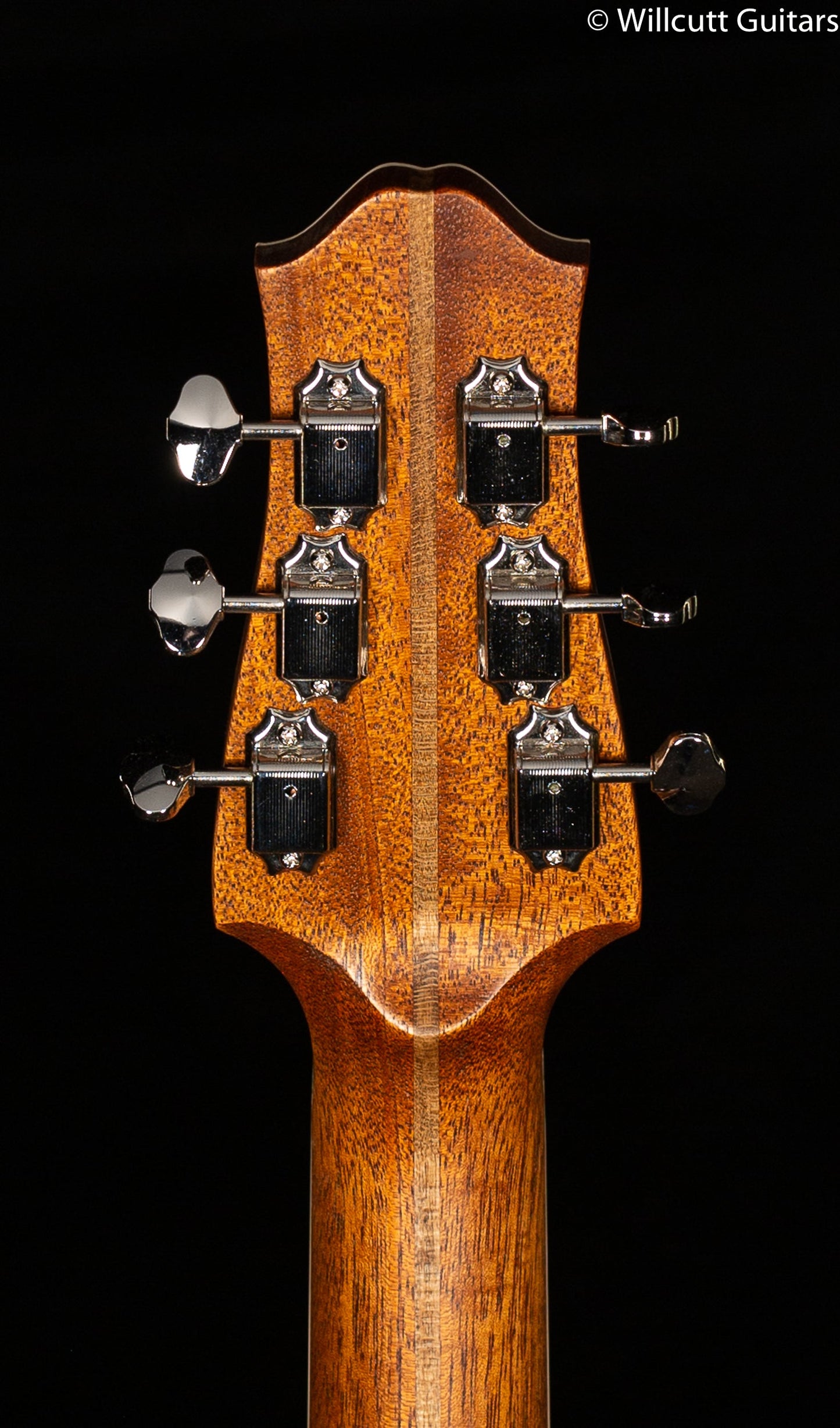 Giffin Standard Hollow Body Bubinga Top