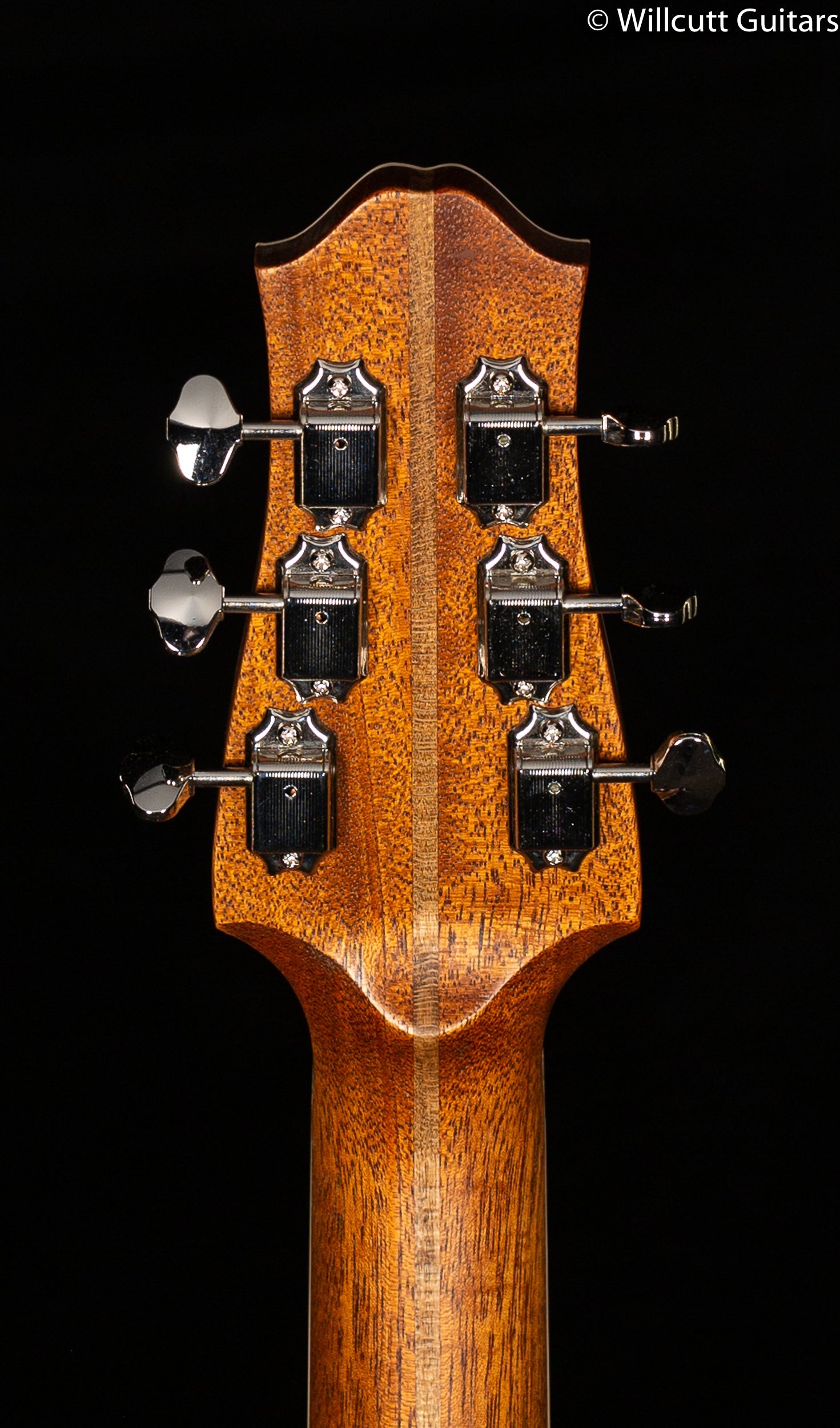 Giffin Standard Hollow Body Bubinga Top