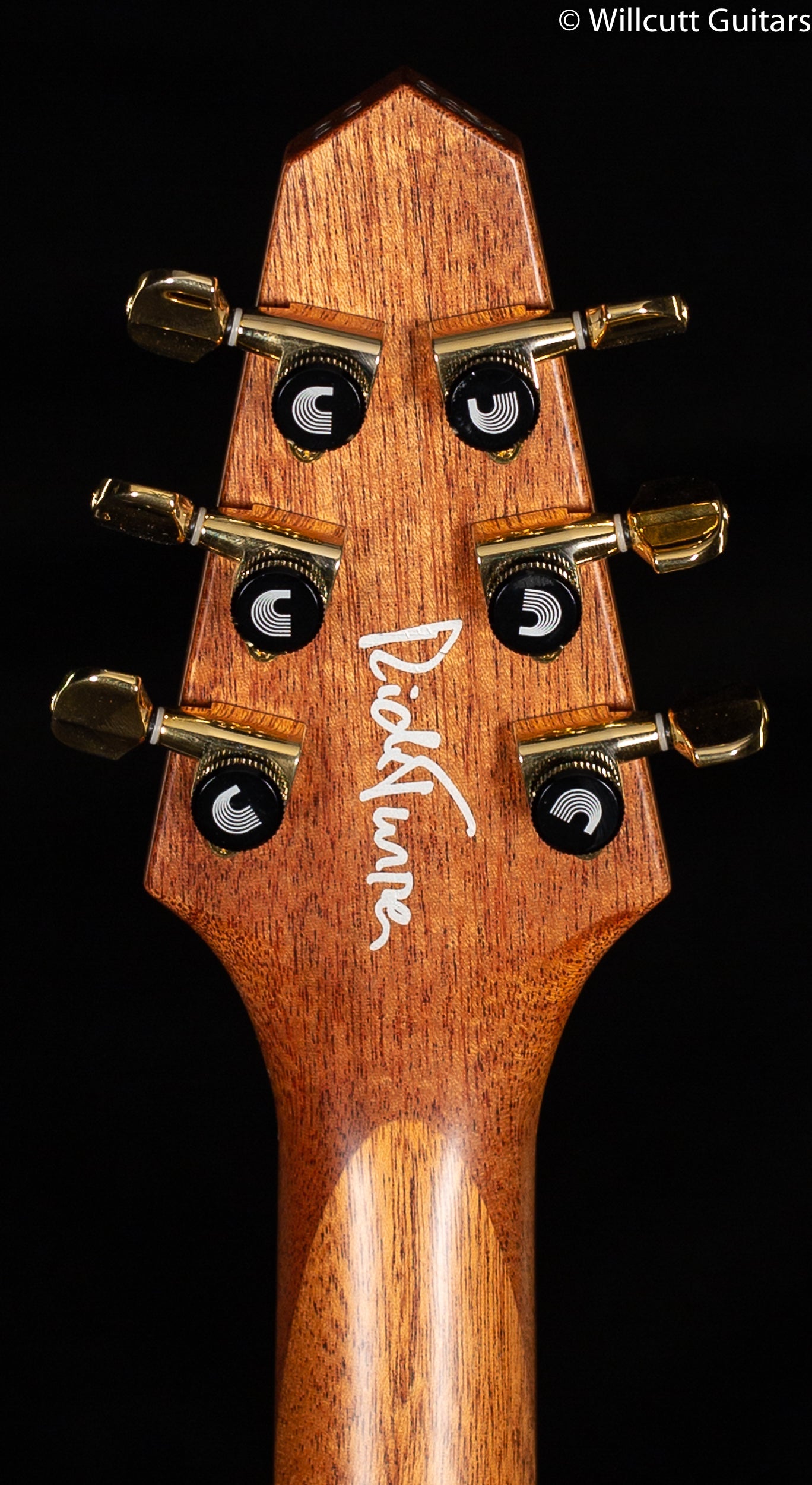 Rick Turner Renaissance RS6 Standard Steel String AmpliCoustic Guitar (654)