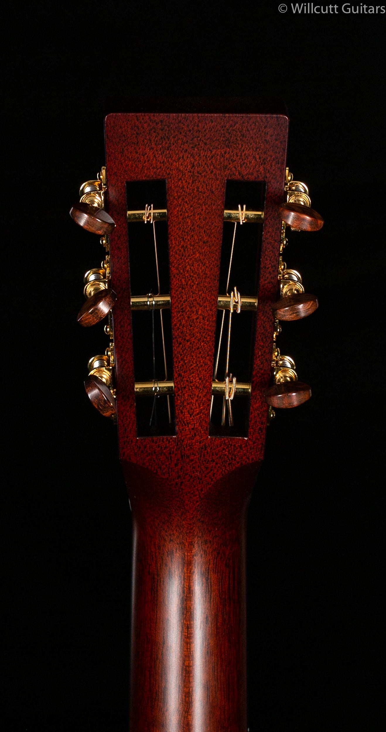 Santa Cruz OOO Koa