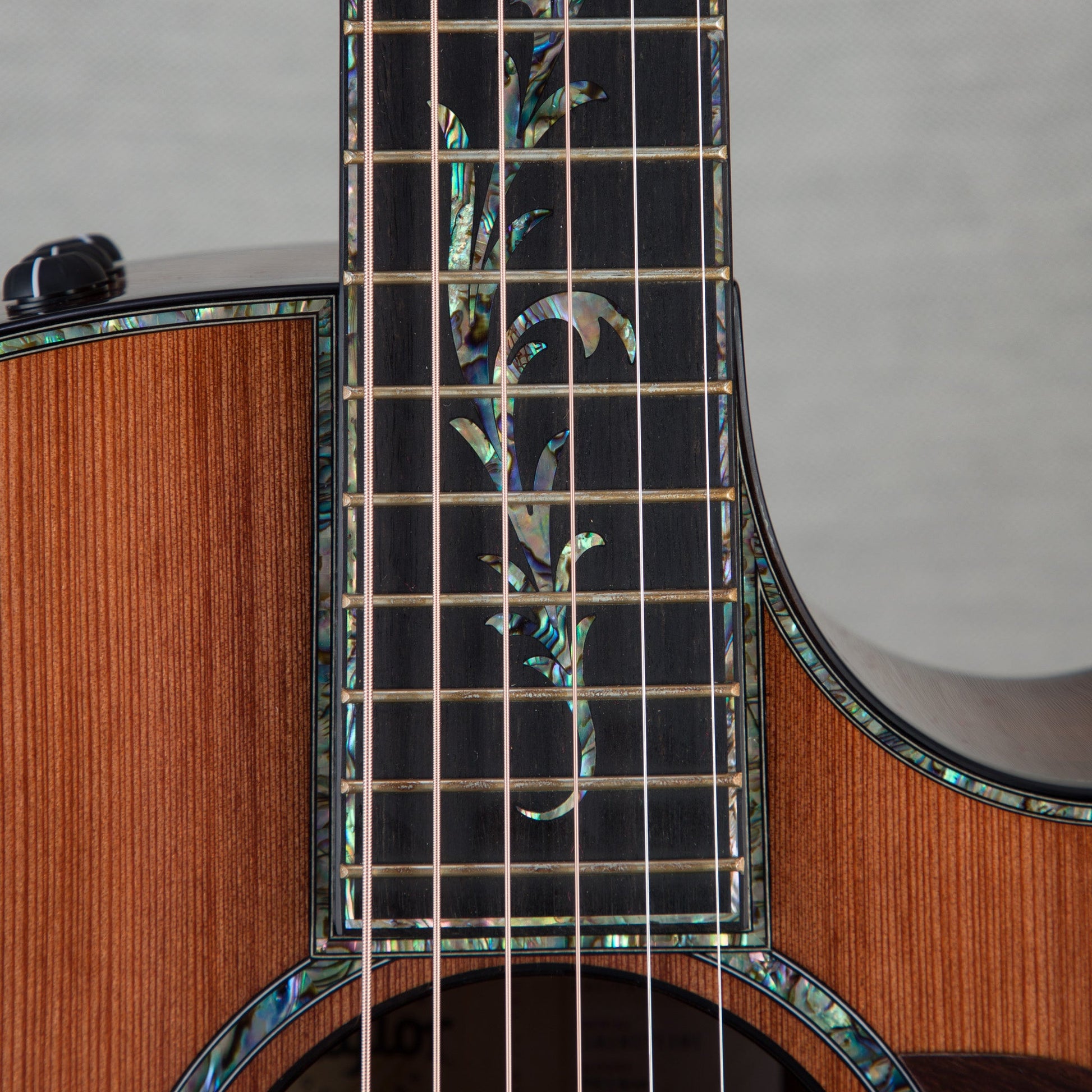 Taylor PS14ce Honduran Rosewood Acoustic Guitar