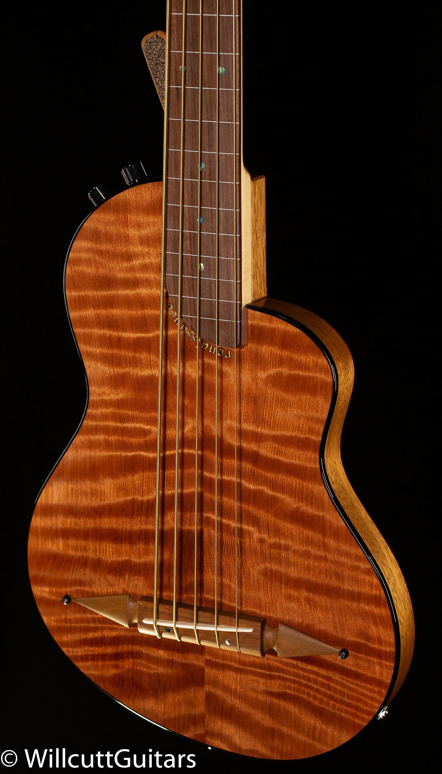 Rick Turner Renaissance RB5 Standard 5-string Ampli-Coustic Bass Fretless Curly Redwood Top (850)