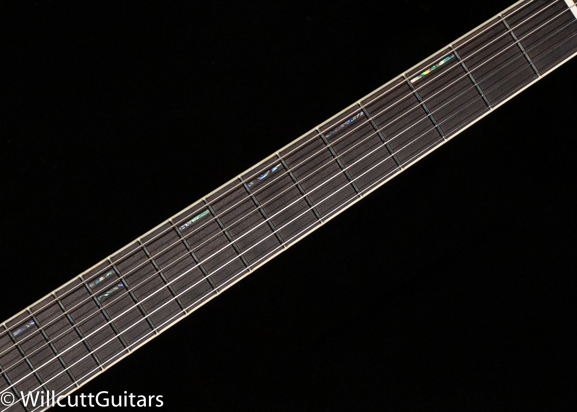 Giffin Standard Extra Hollowbody Quilted Maple Top (260)