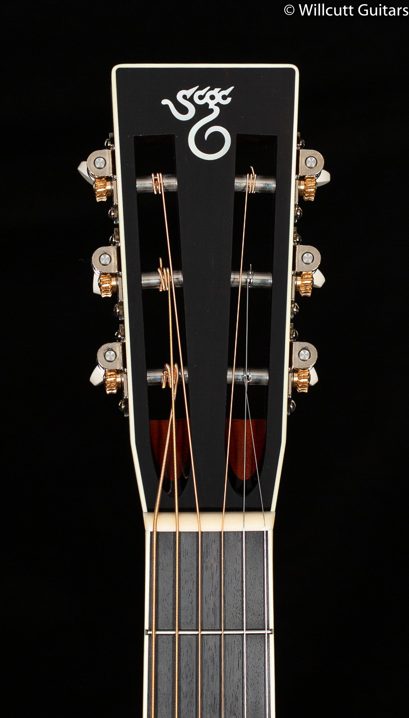 Santa Cruz OOO Adirondack Top and Braces